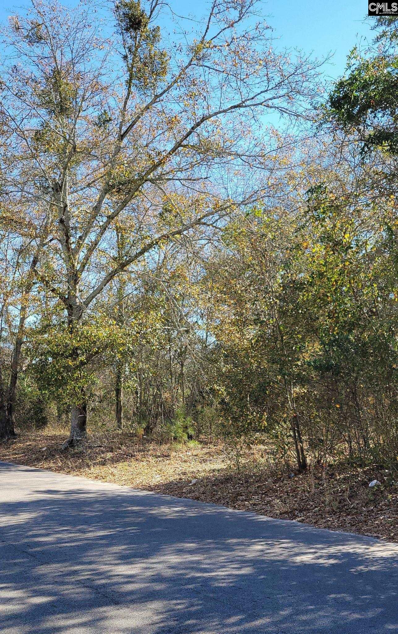 W Barnwell Highway Highway, Denmark, South Carolina image 3