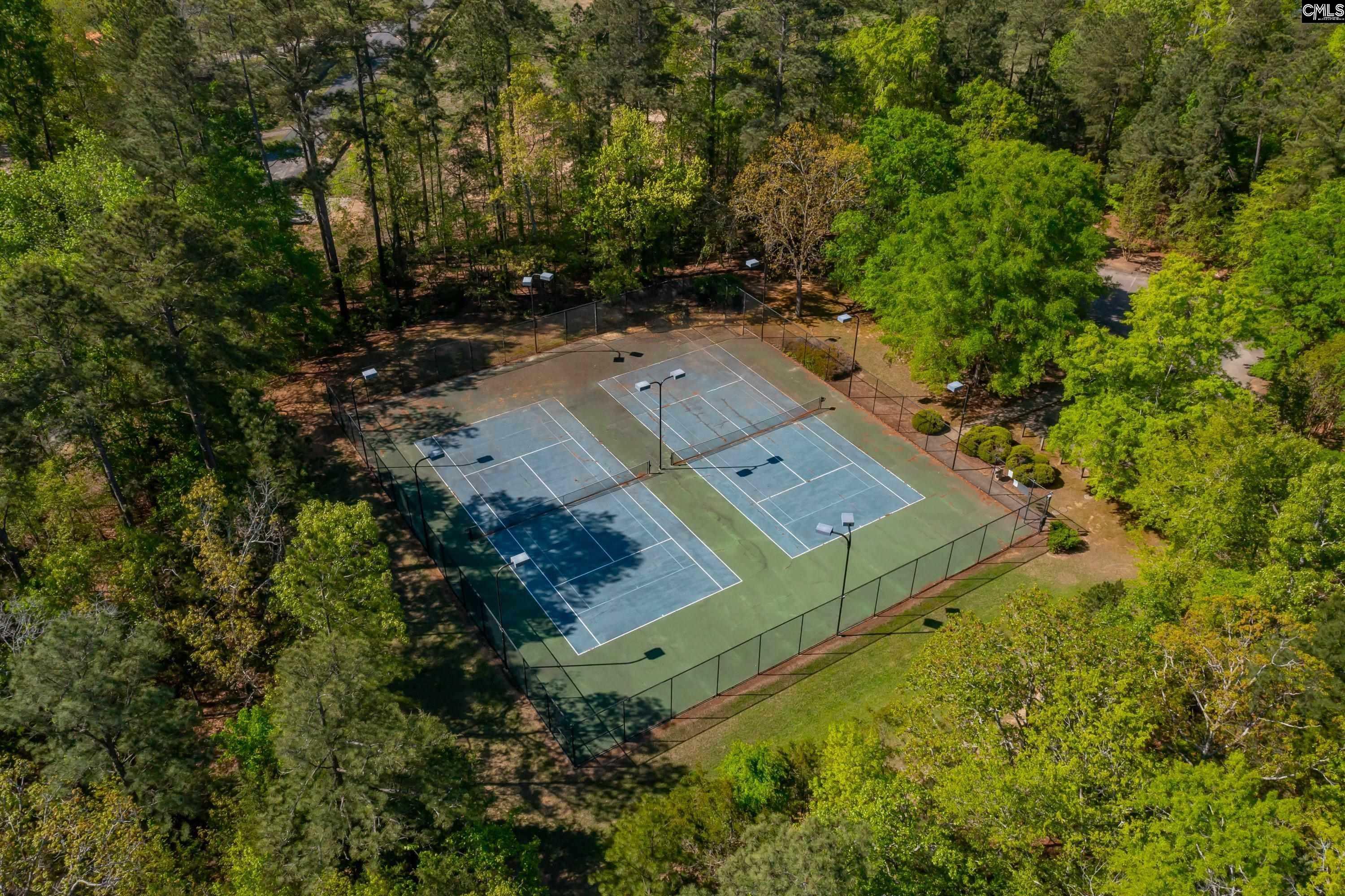 250 Daymark Road, Chapin, South Carolina image 25