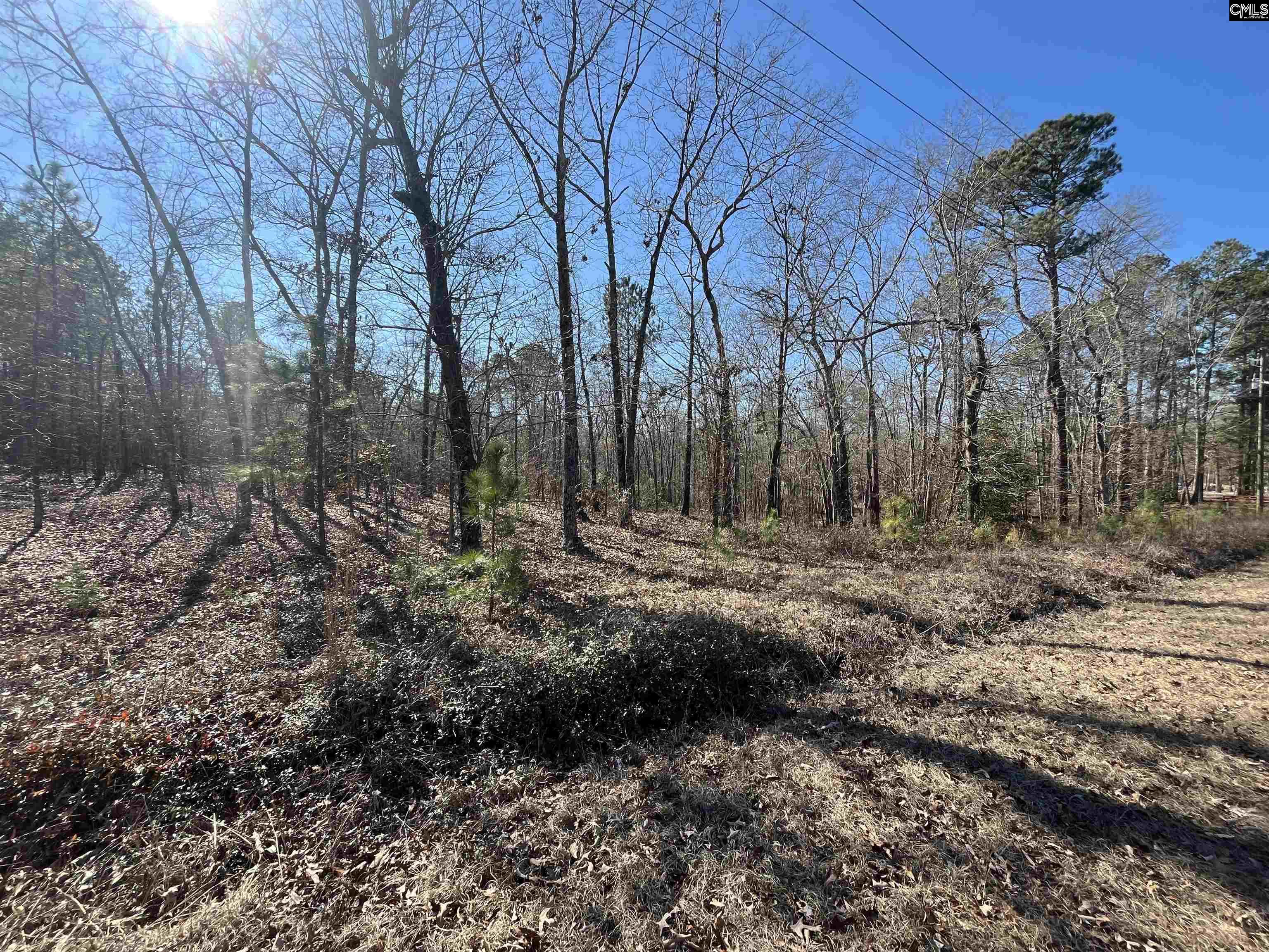 228 Water Tank Road, Pelion, South Carolina image 2