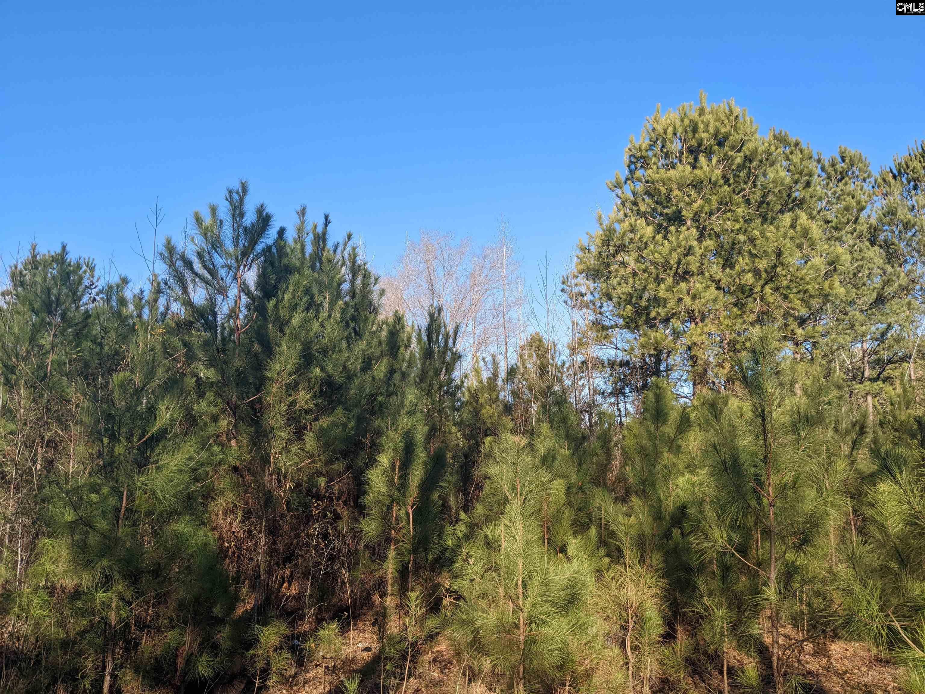 1135 Elkwood Lane Camden, SC 29020
