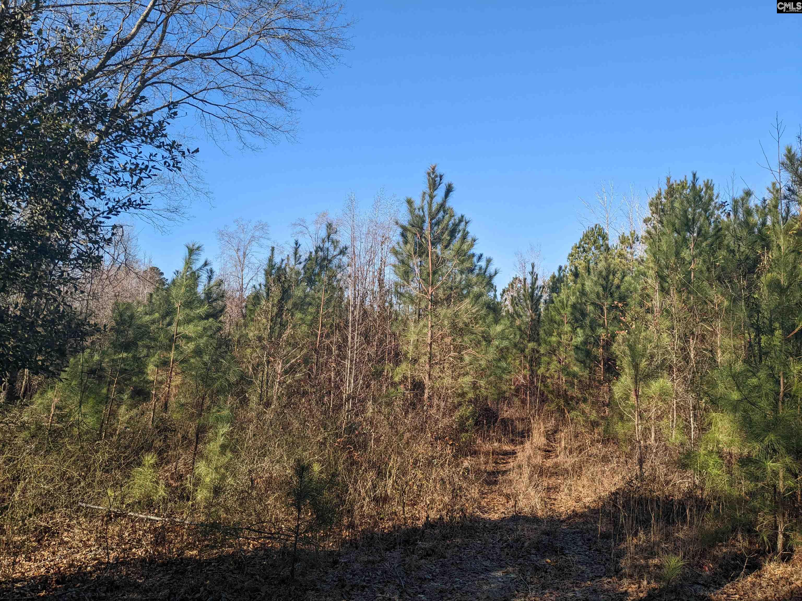1135 Elkwood Lane, Camden, South Carolina image 2
