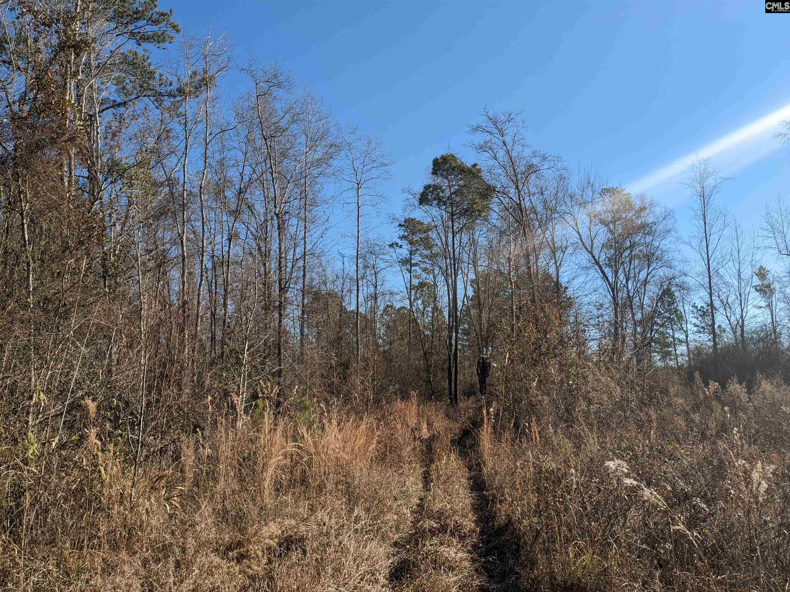 1135 Elkwood Lane, Camden, South Carolina image 11