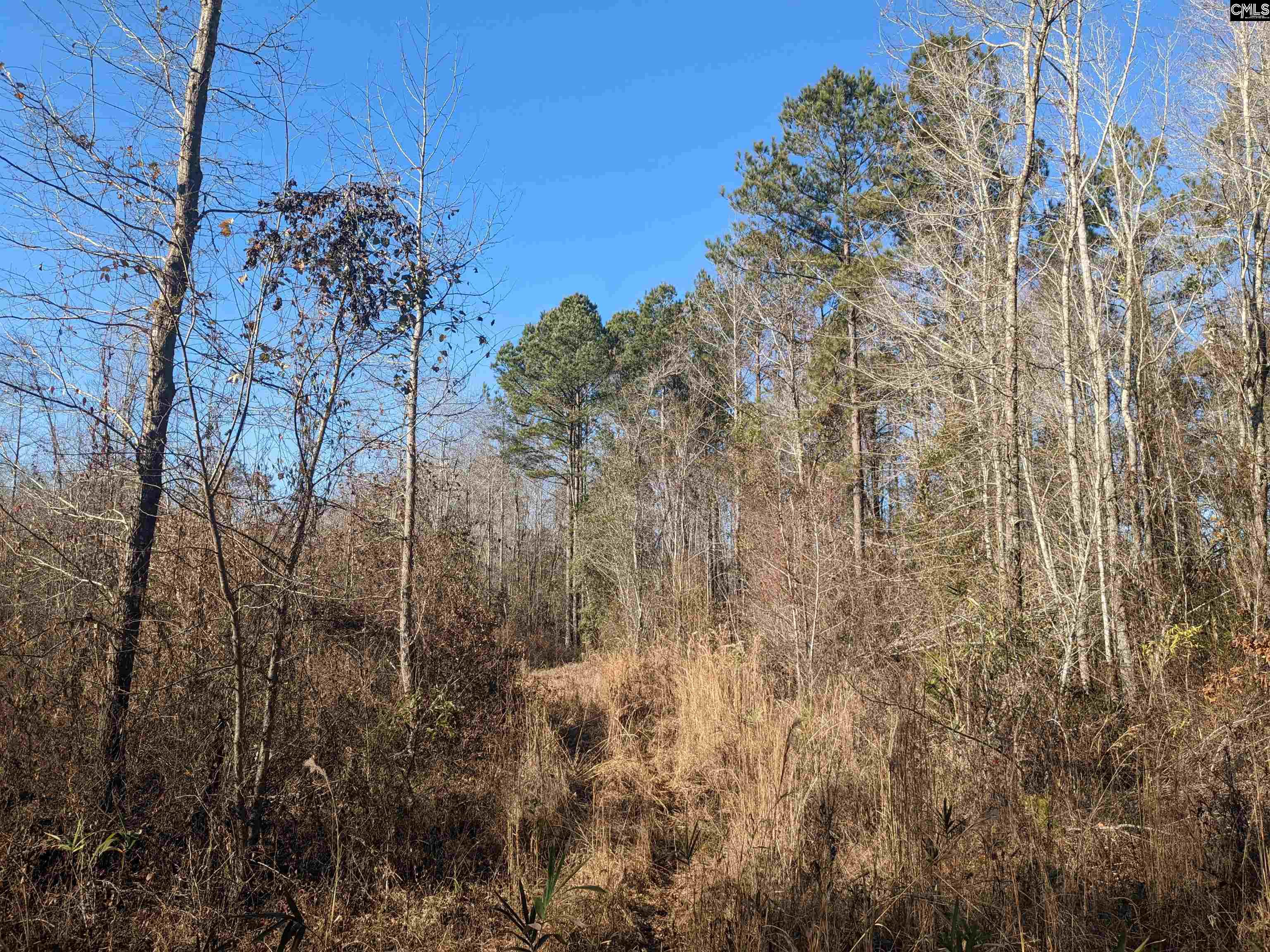 1135 Elkwood Lane, Camden, South Carolina image 14