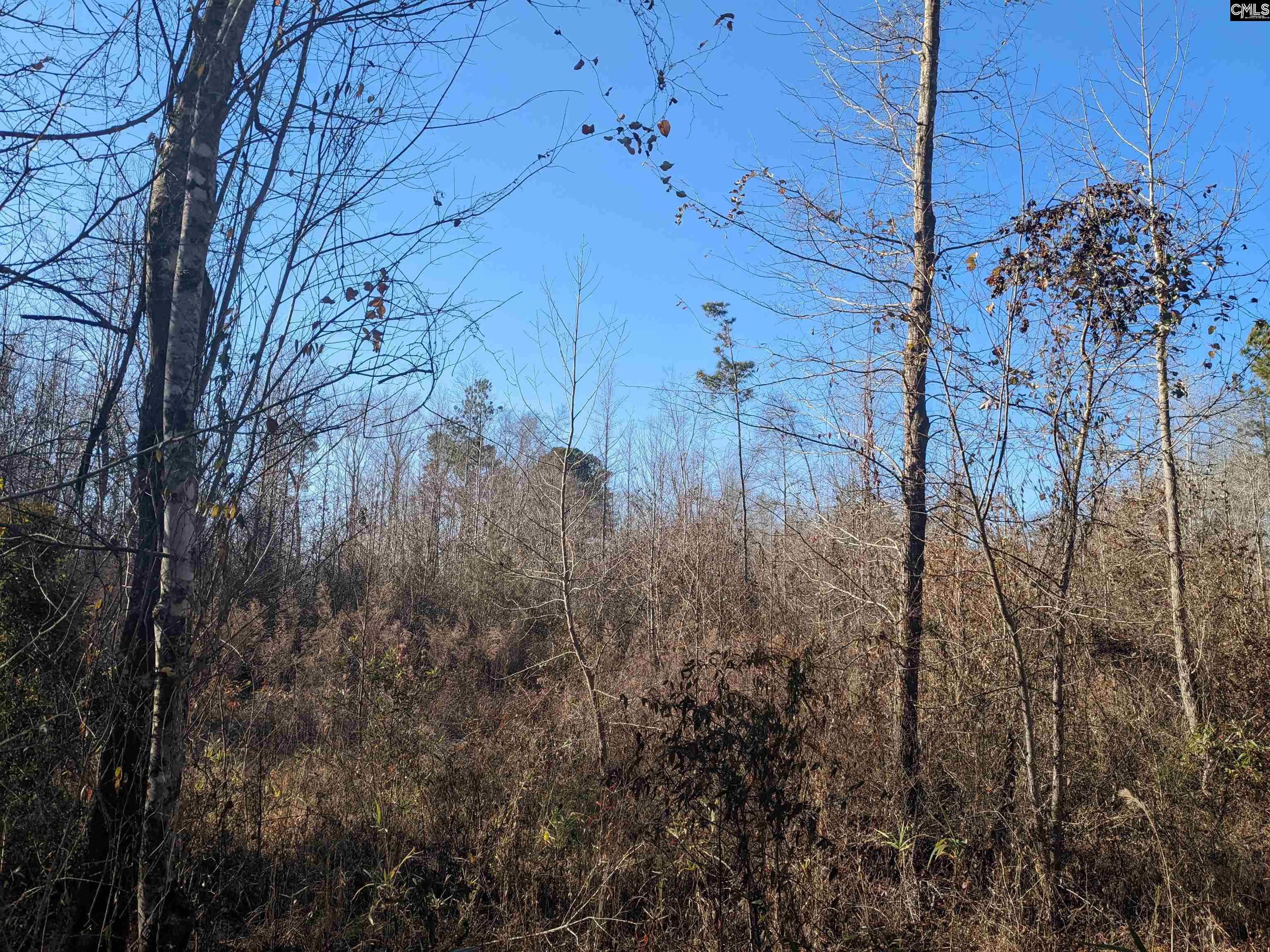 1135 Elkwood Lane, Camden, South Carolina image 15