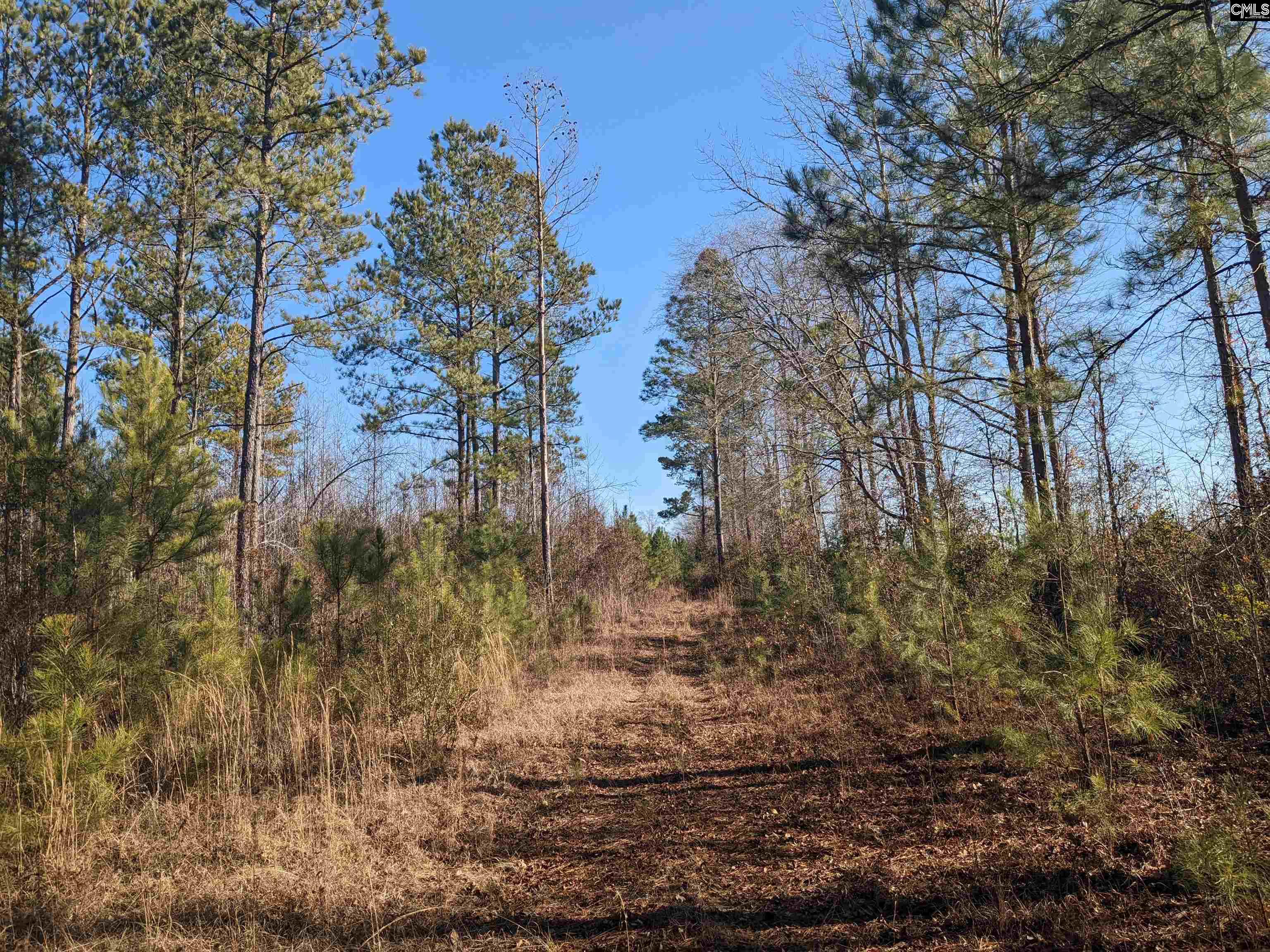1135 Elkwood Lane, Camden, South Carolina image 16