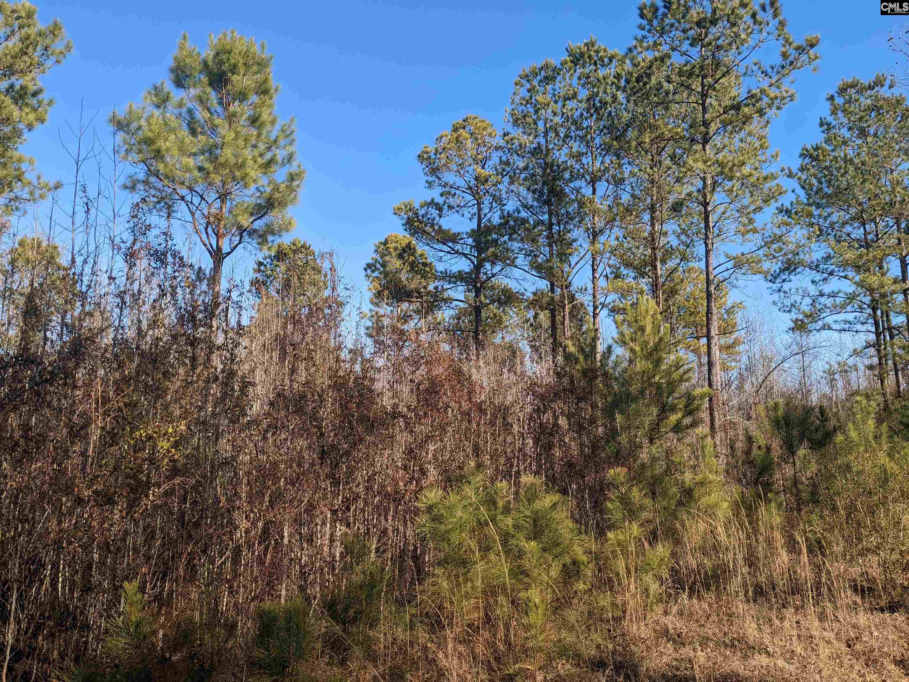 1135 Elkwood Lane, Camden, South Carolina image 17