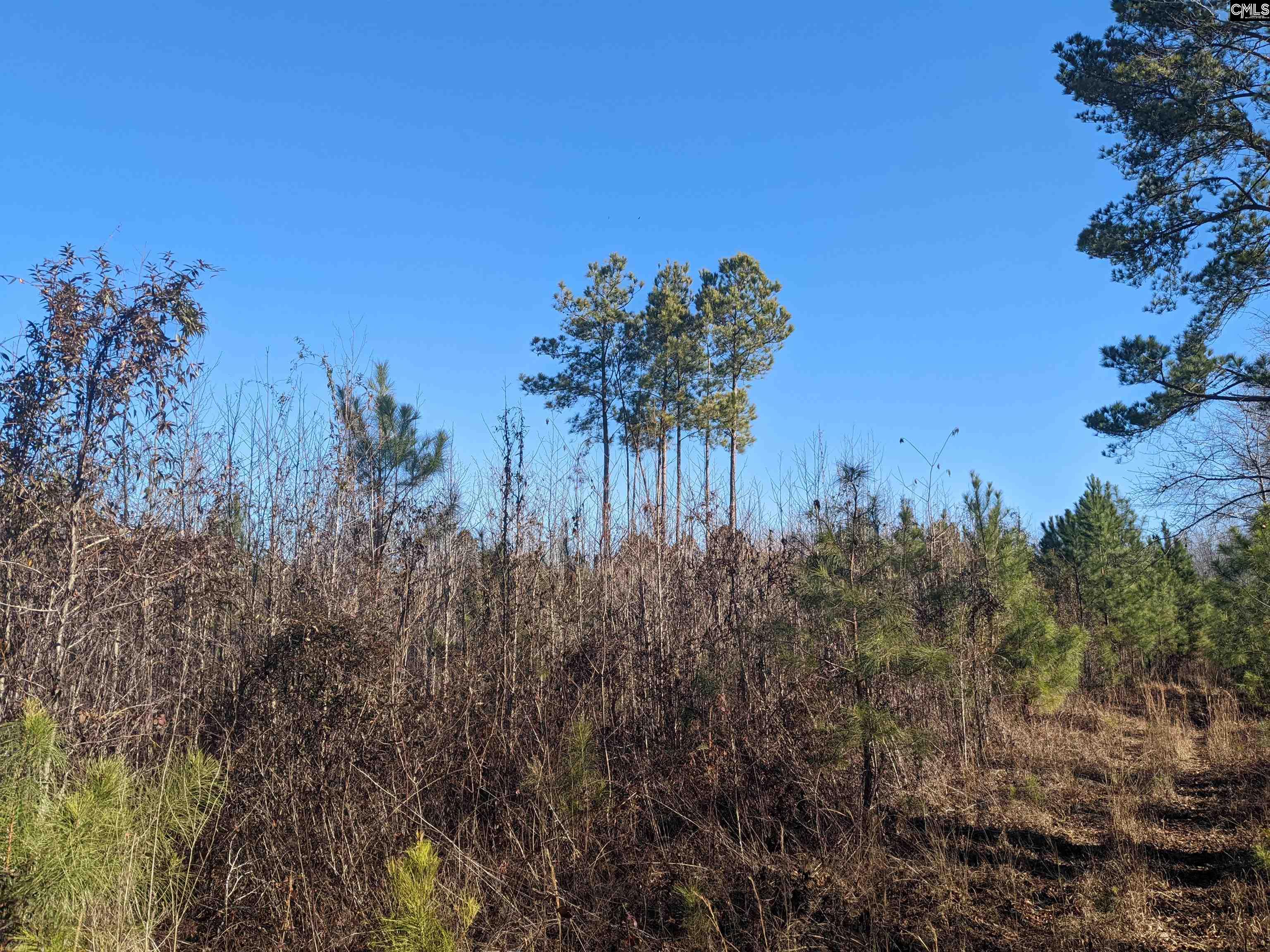 1135 Elkwood Lane, Camden, South Carolina image 18