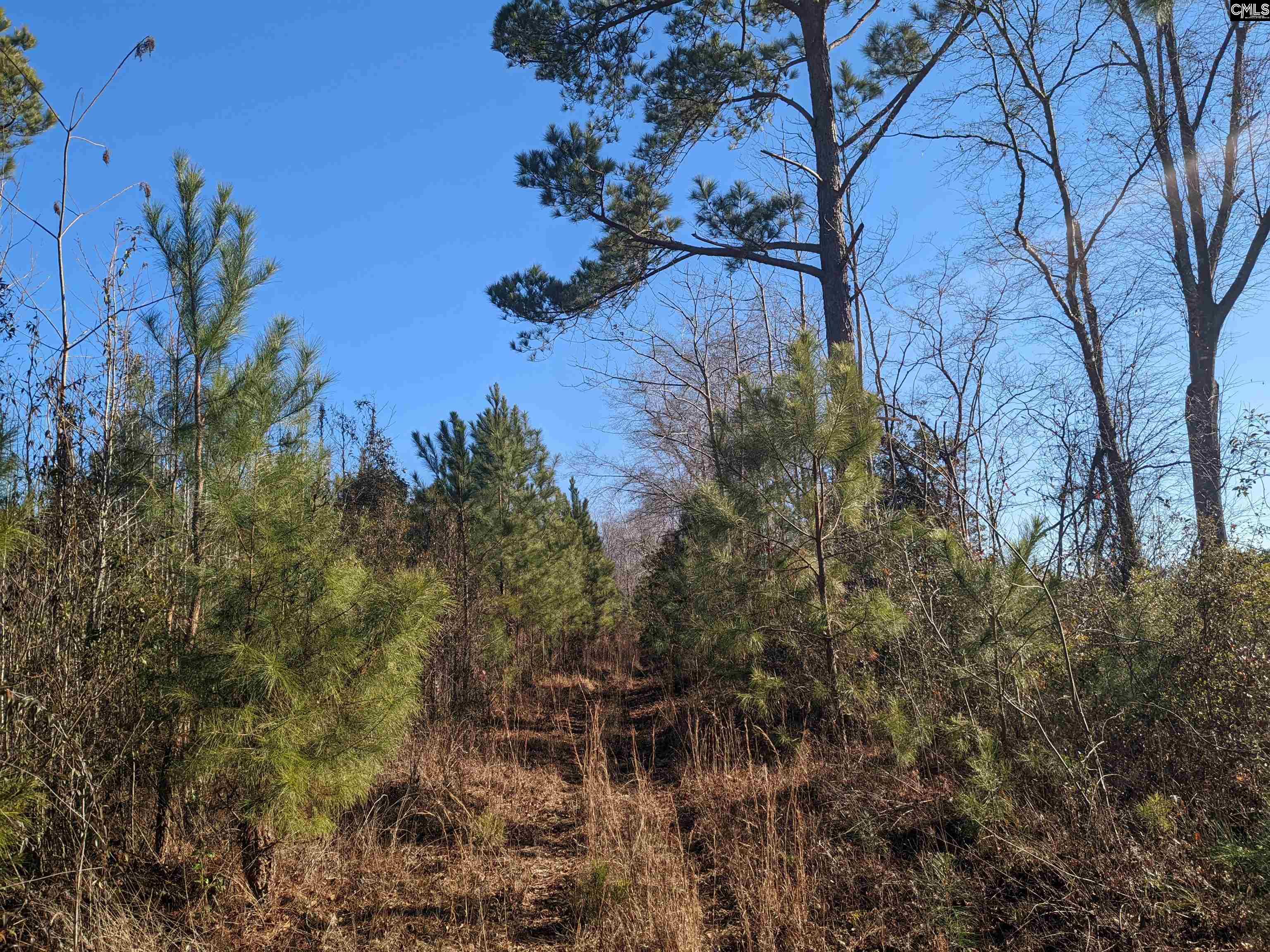 1135 Elkwood Lane, Camden, South Carolina image 19