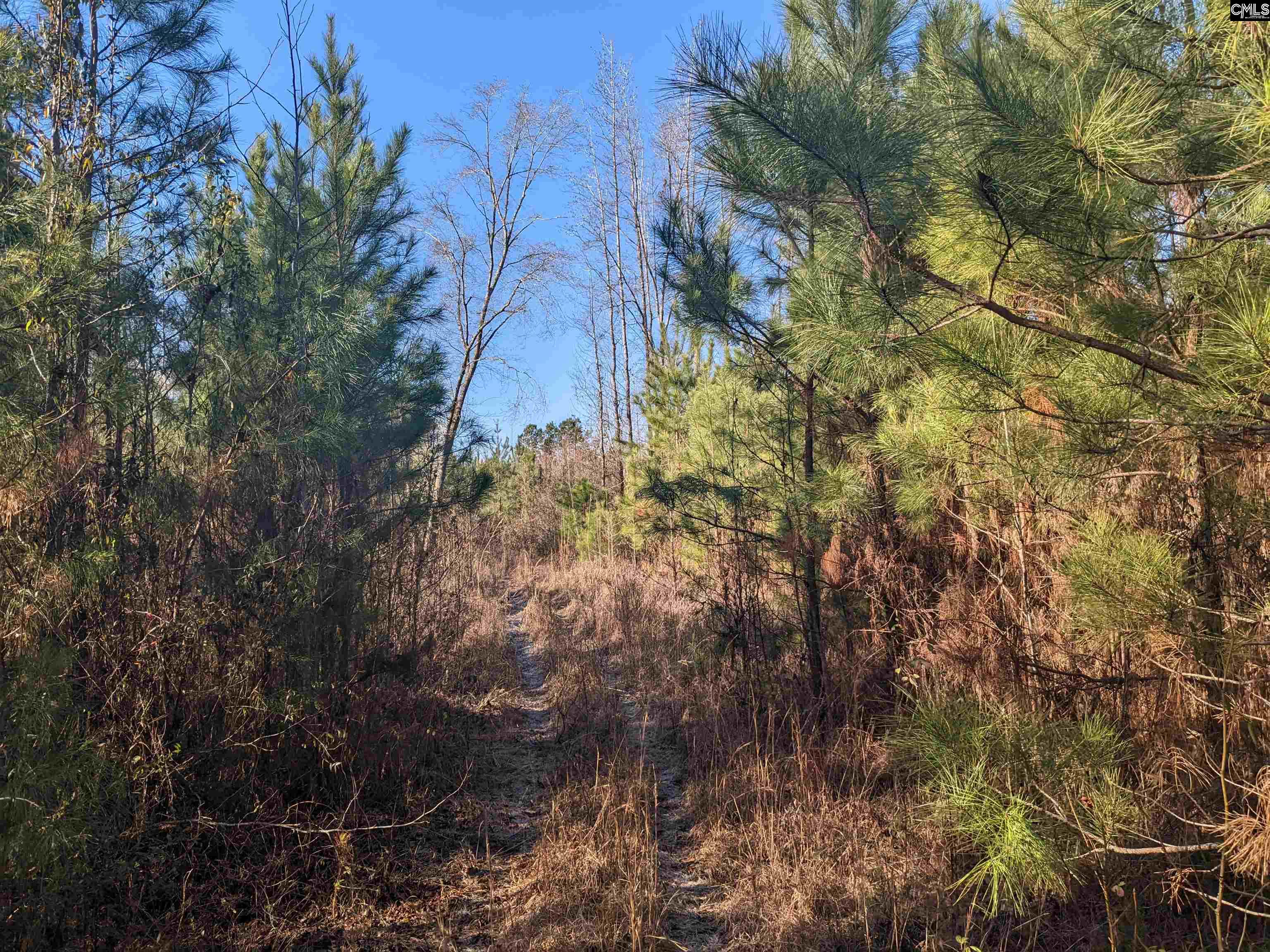 1135 Elkwood Lane, Camden, South Carolina image 3