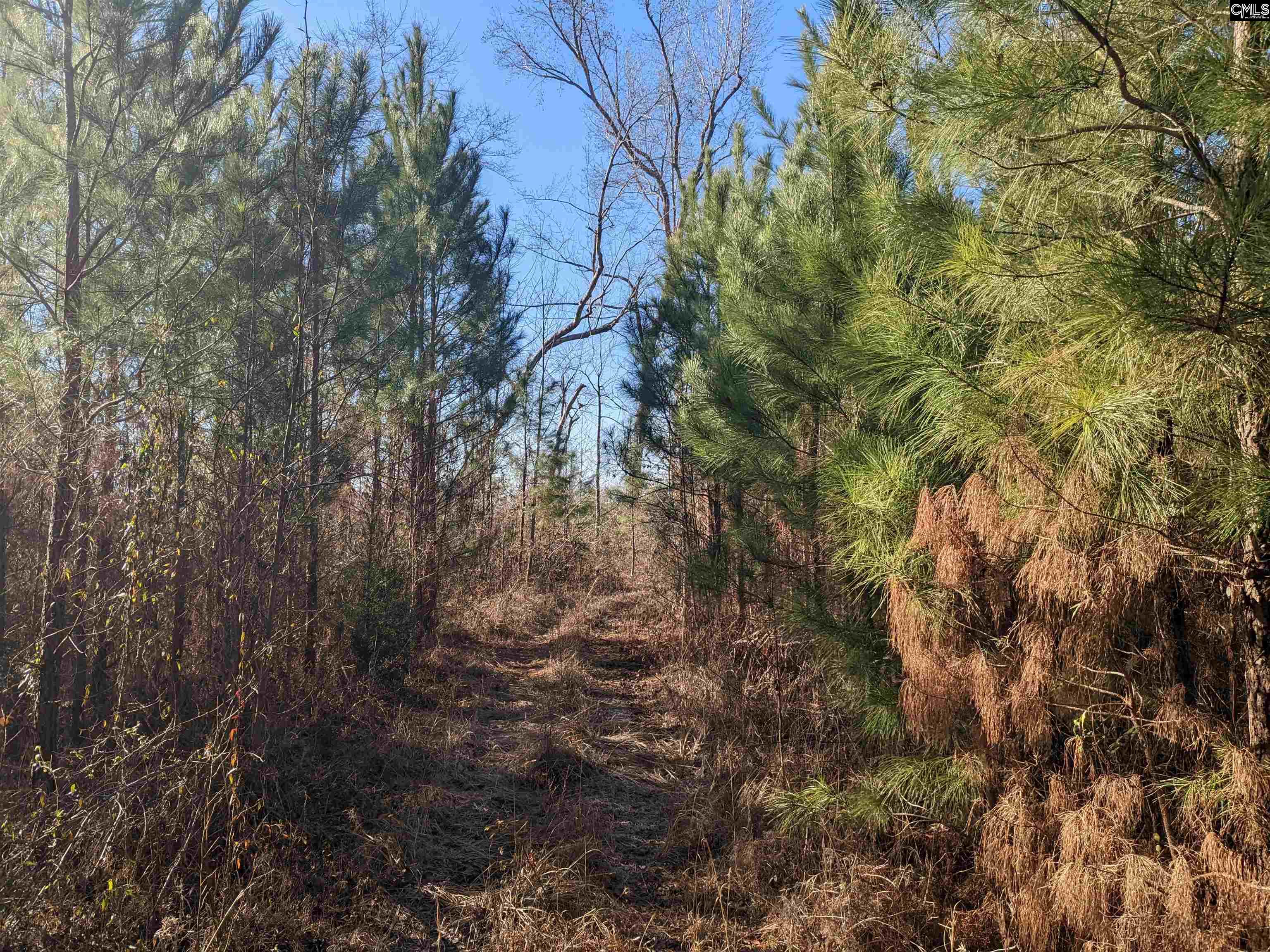 1135 Elkwood Lane, Camden, South Carolina image 4