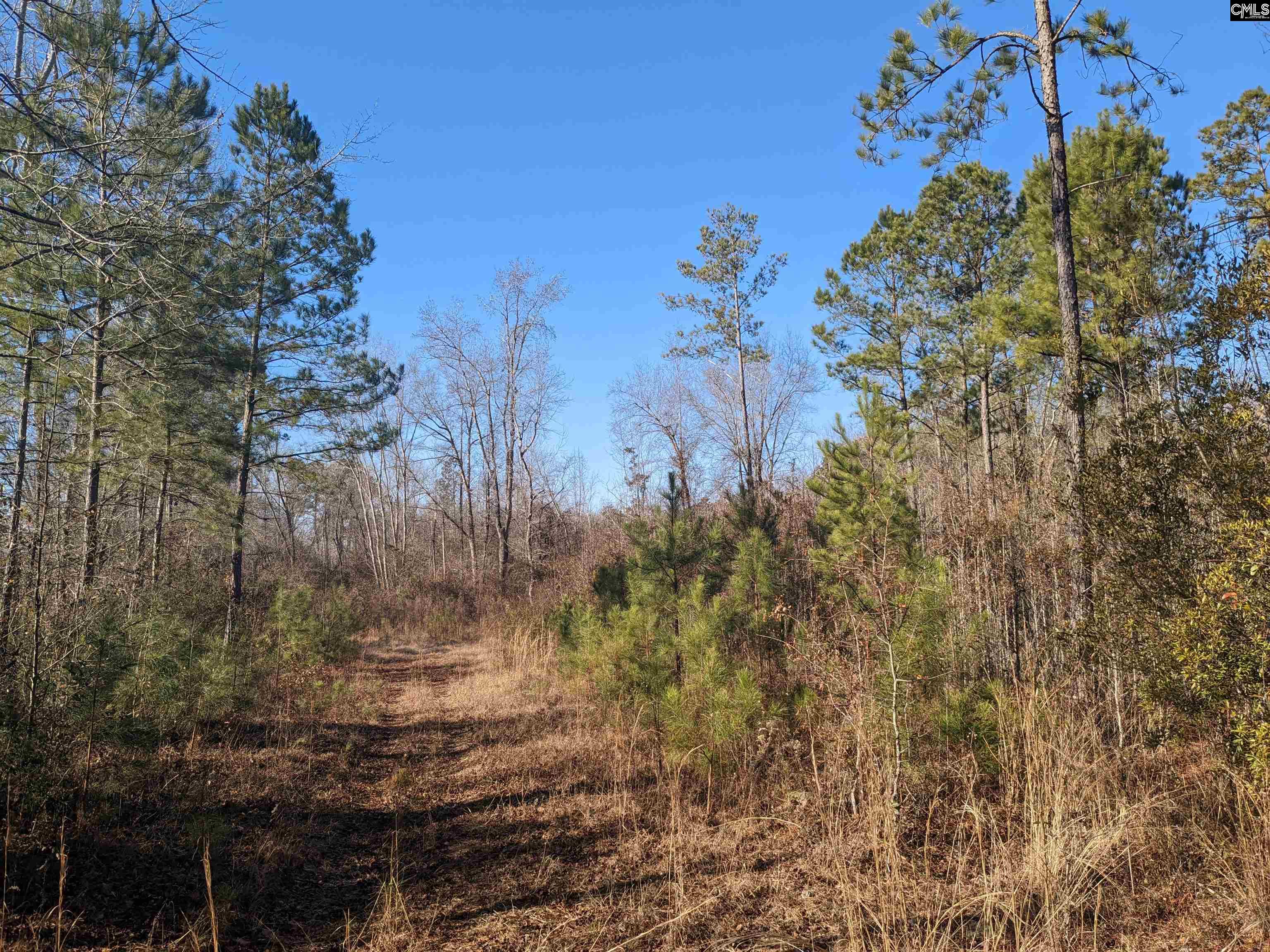 1135 Elkwood Lane, Camden, South Carolina image 6