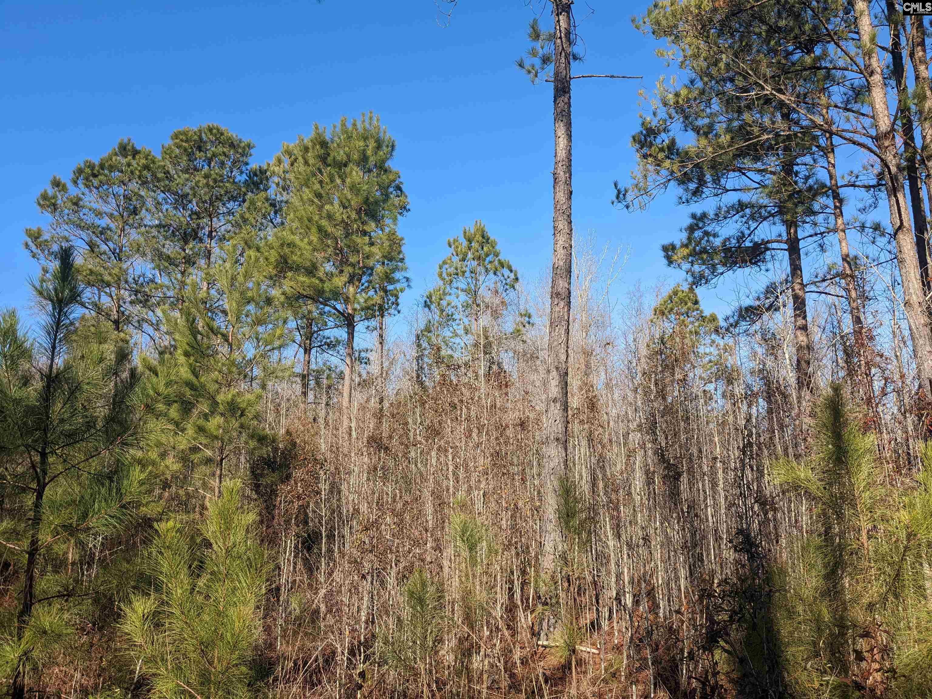 1135 Elkwood Lane, Camden, South Carolina image 7