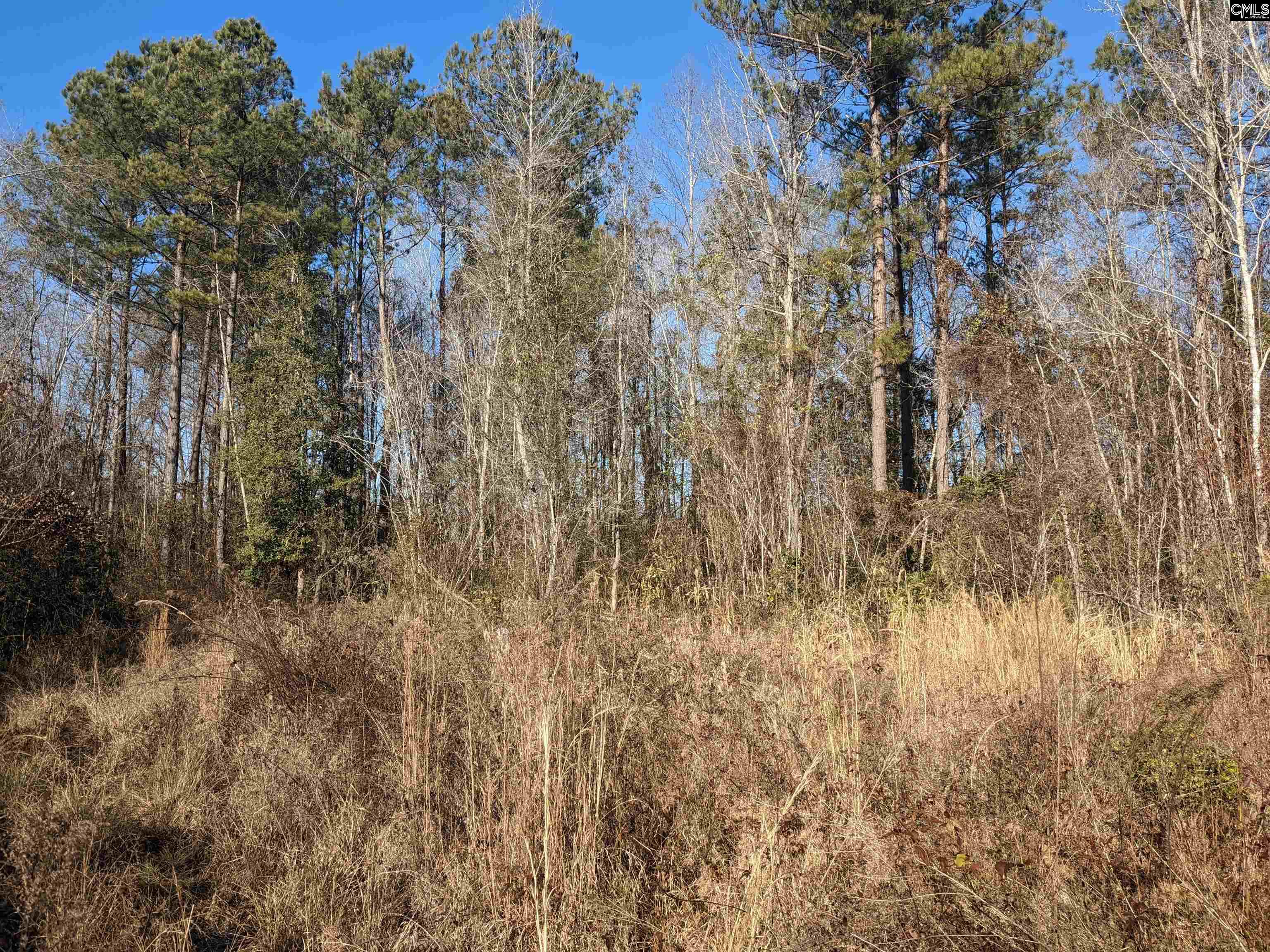 1135 Elkwood Lane, Camden, South Carolina image 10