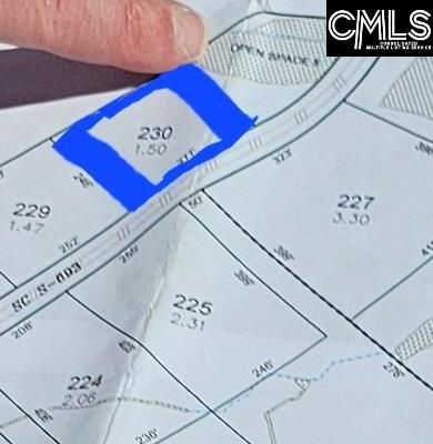 LOT 230 Granny Hill Road, Prosperity, South Carolina image 11