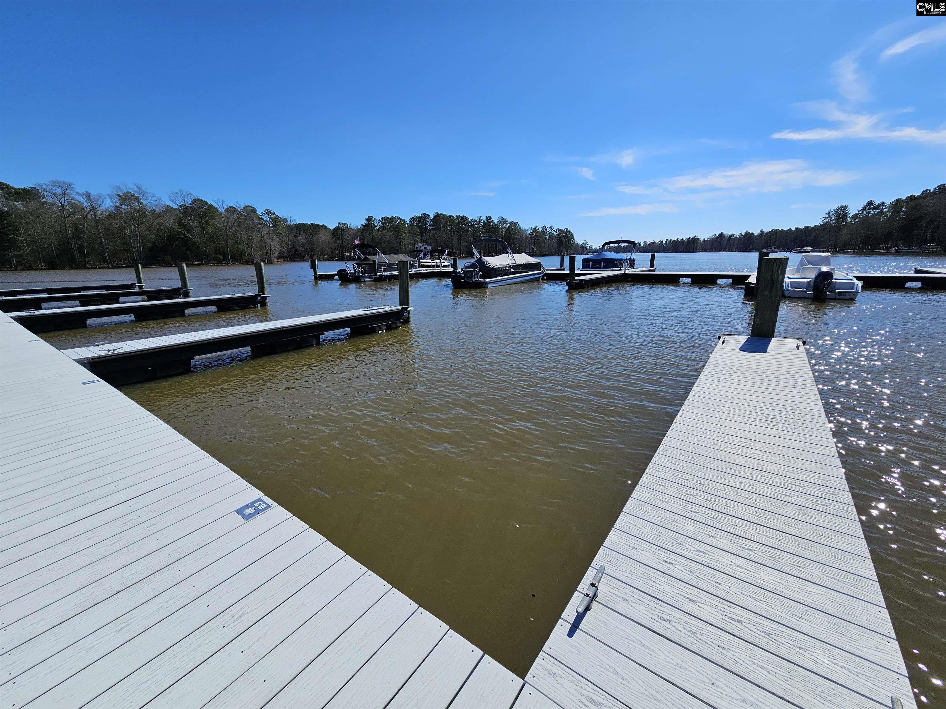 LOT 230 Granny Hill Road, Prosperity, South Carolina image 15