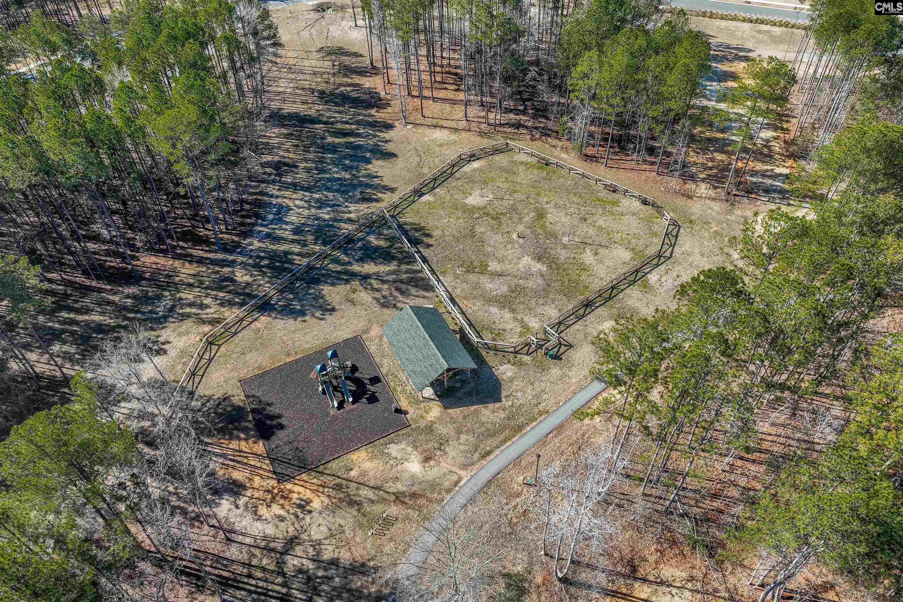 LOT 230 Granny Hill Road, Prosperity, South Carolina image 27