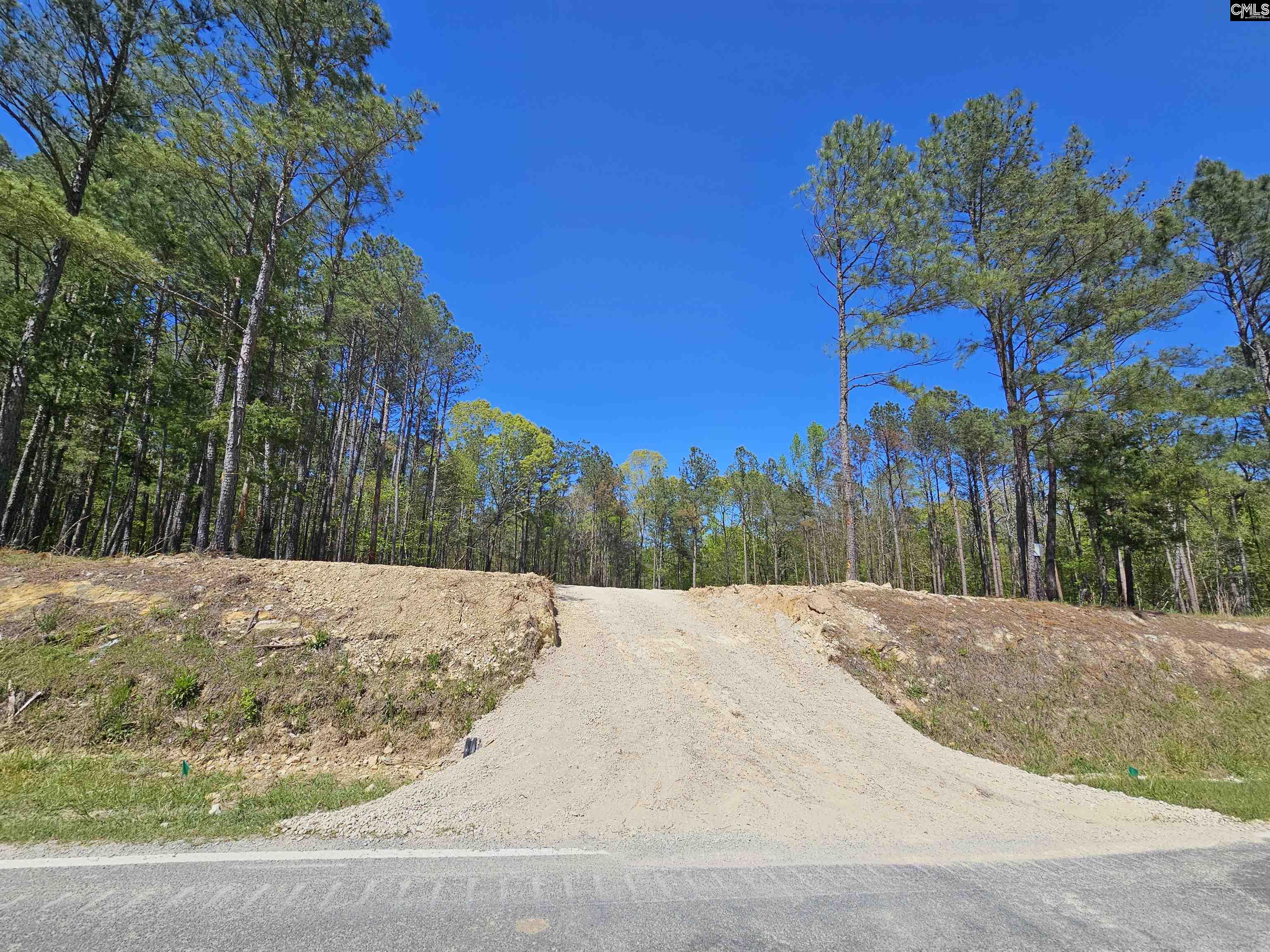 LOT 230 Granny Hill Road, Prosperity, South Carolina image 4