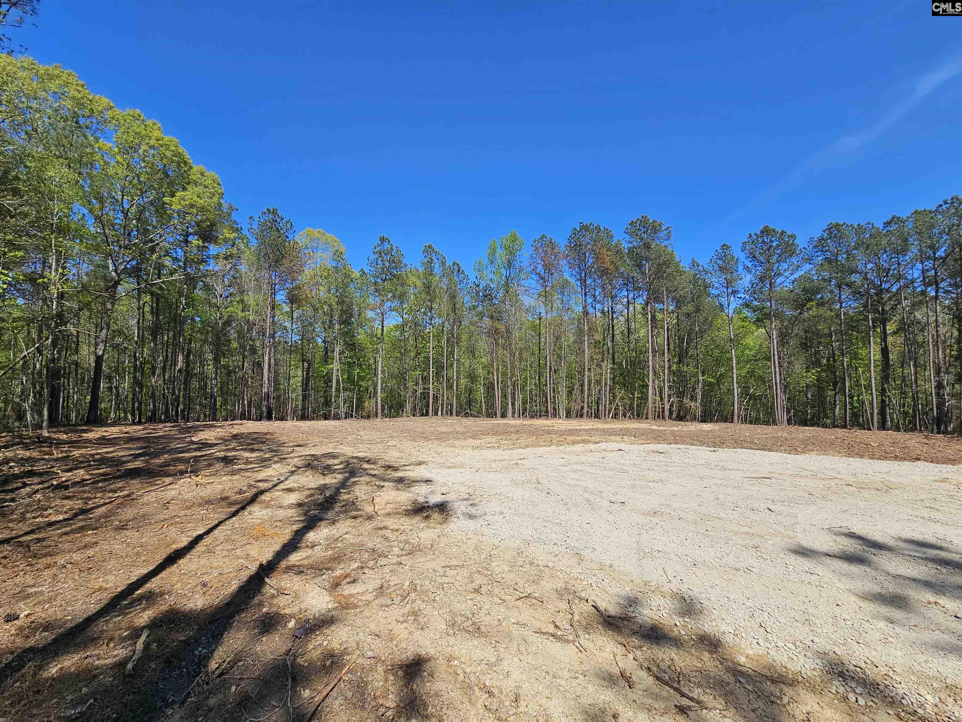 LOT 230 Granny Hill Road, Prosperity, South Carolina image 5