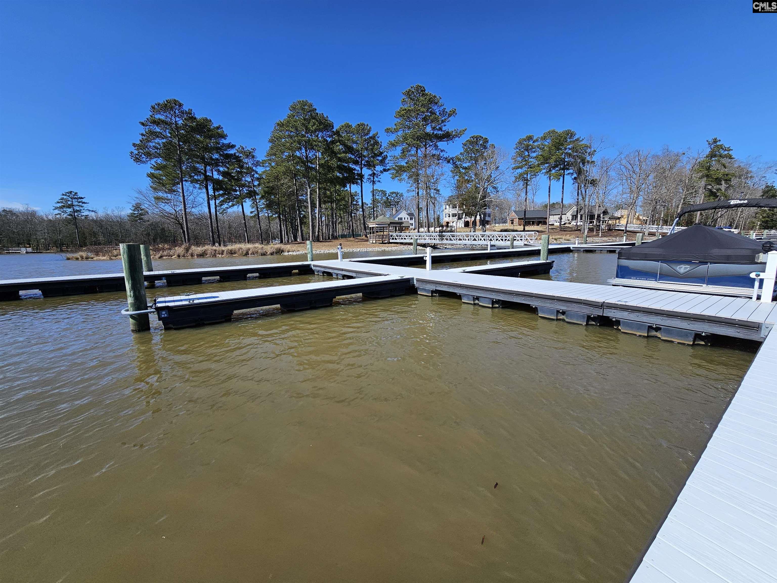 LOT 230 Granny Hill Road, Prosperity, South Carolina image 41