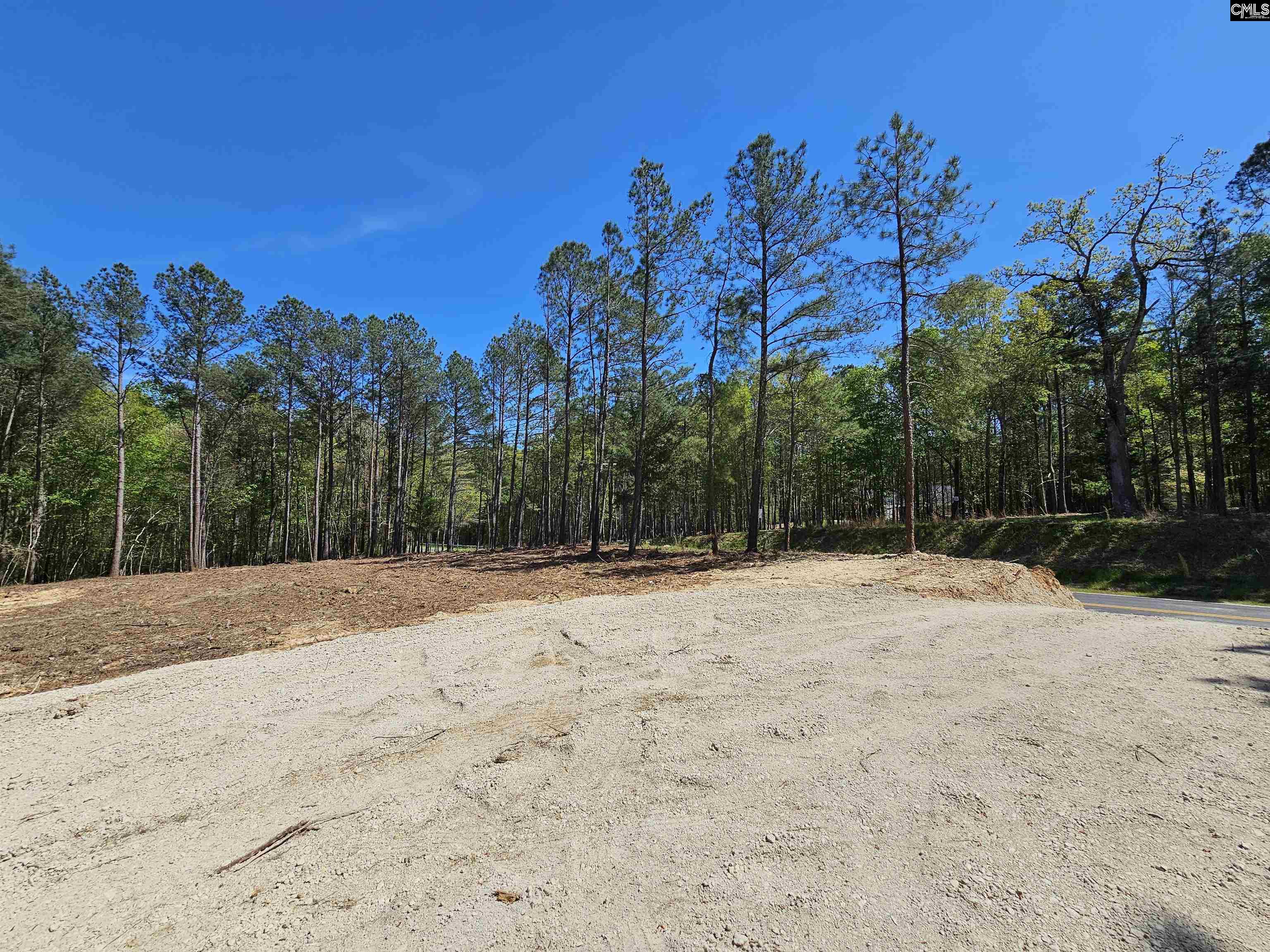 LOT 230 Granny Hill Road, Prosperity, South Carolina image 6