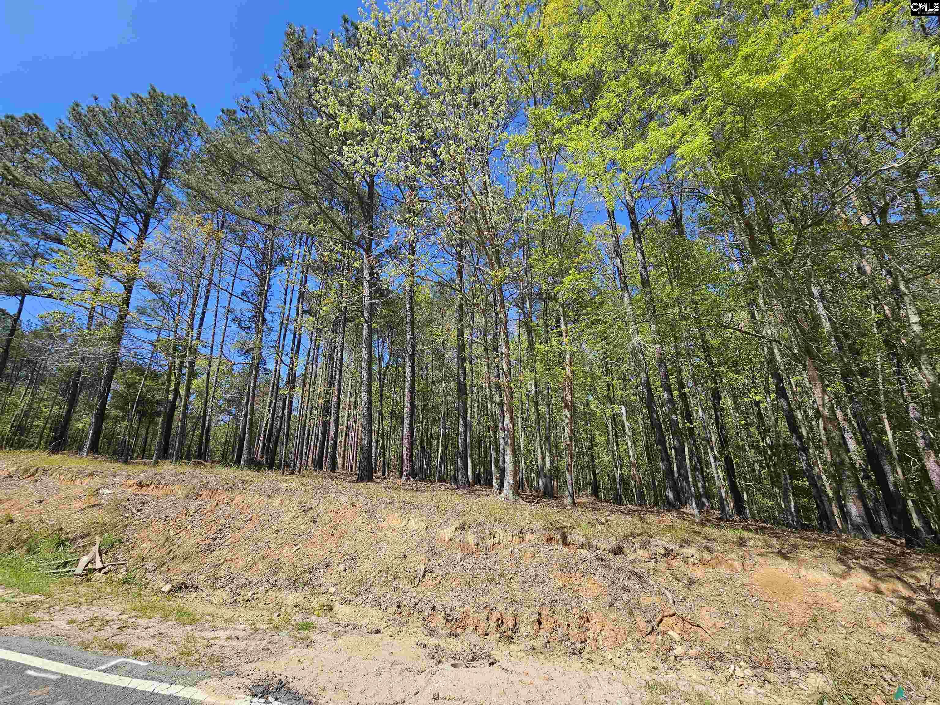 LOT 230 Granny Hill Road, Prosperity, South Carolina image 8