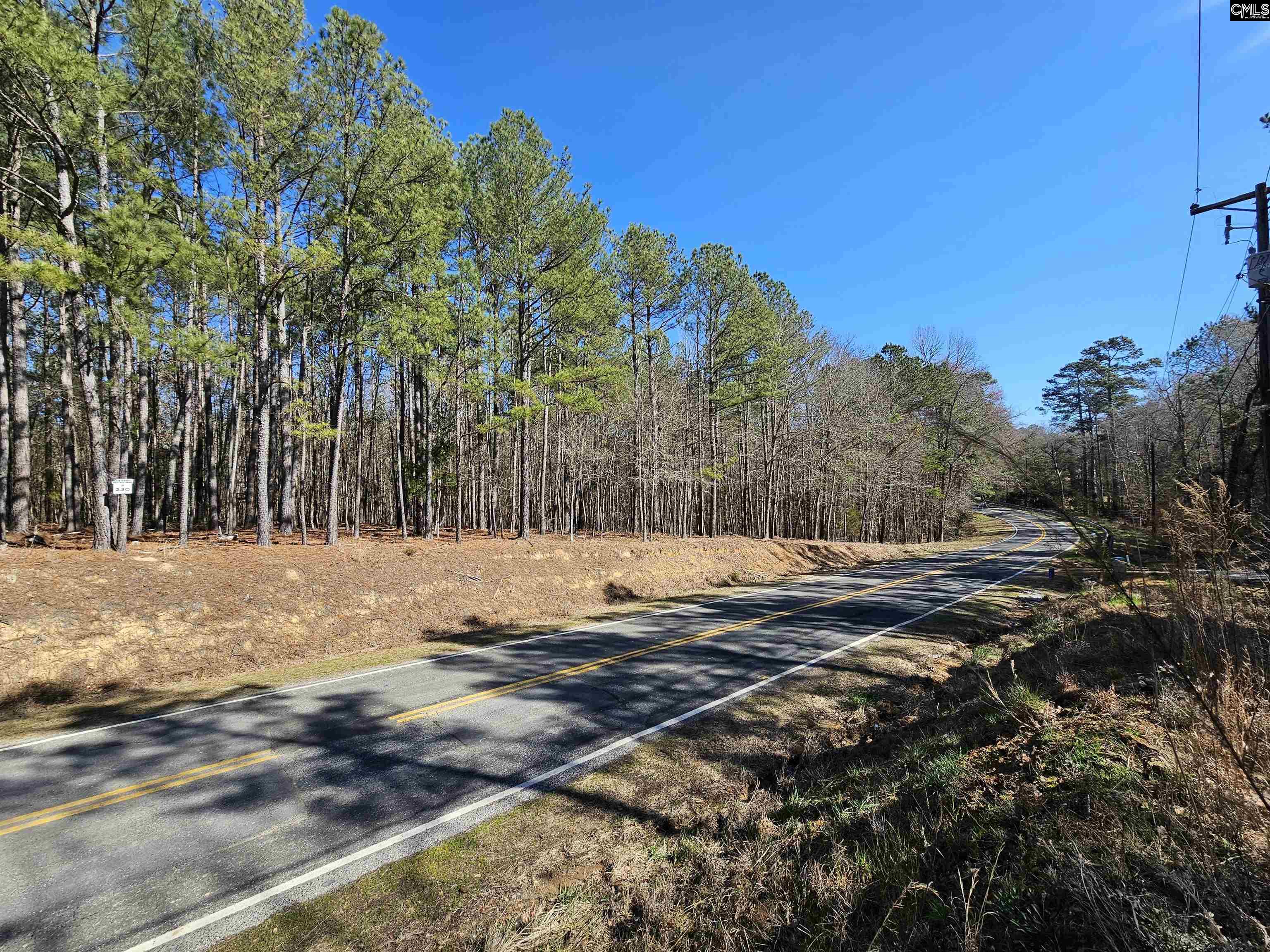 LOT 230 Granny Hill Road, Prosperity, South Carolina image 9