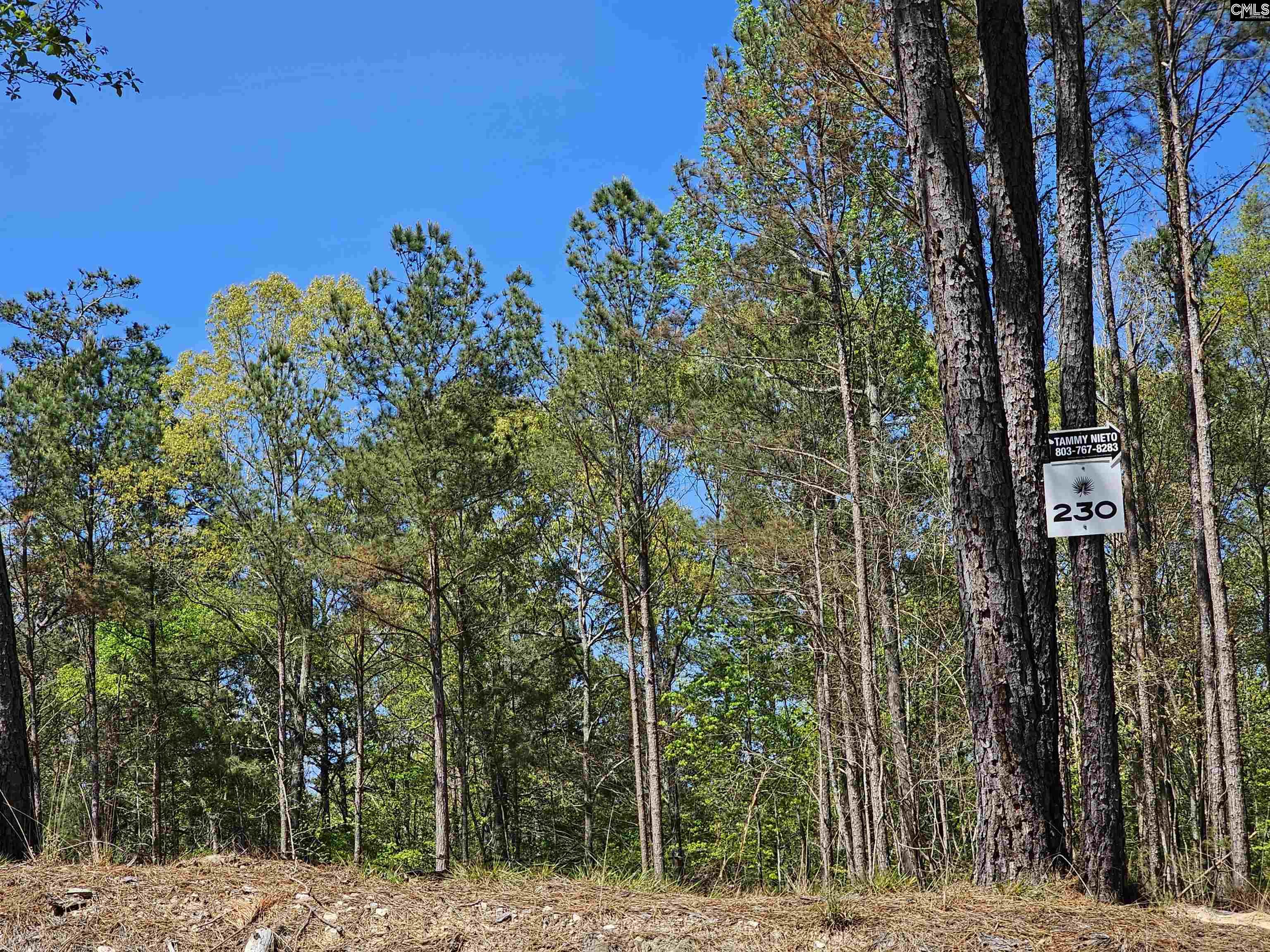 LOT 230 Granny Hill Road, Prosperity, South Carolina image 10