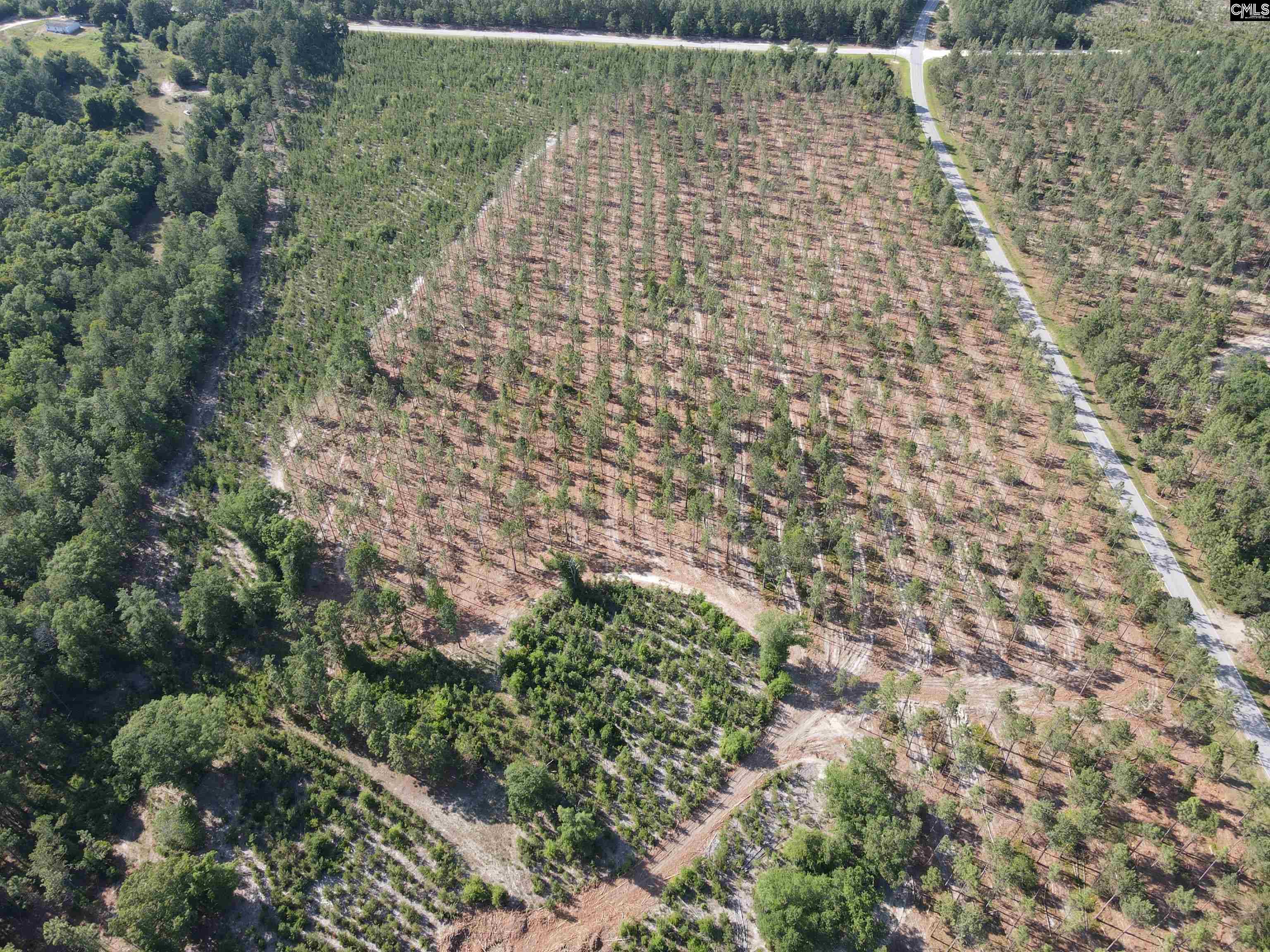 1010 Mt Zion Road #TRACT H-1, Camden, South Carolina image 3