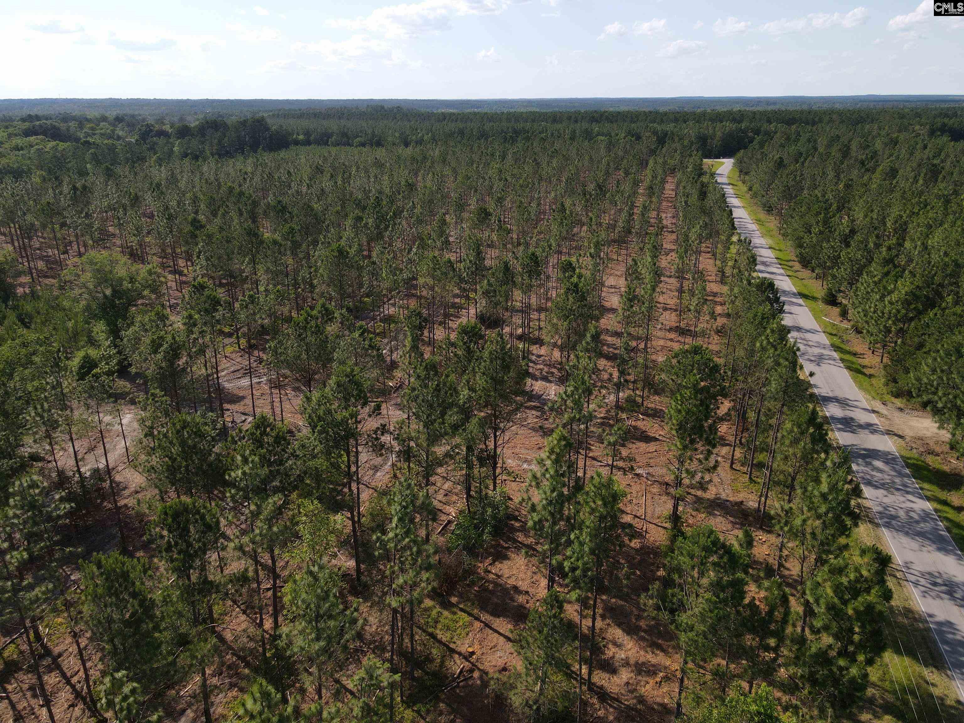 1010 Mt Zion Road #TRACT H-1, Camden, South Carolina image 4