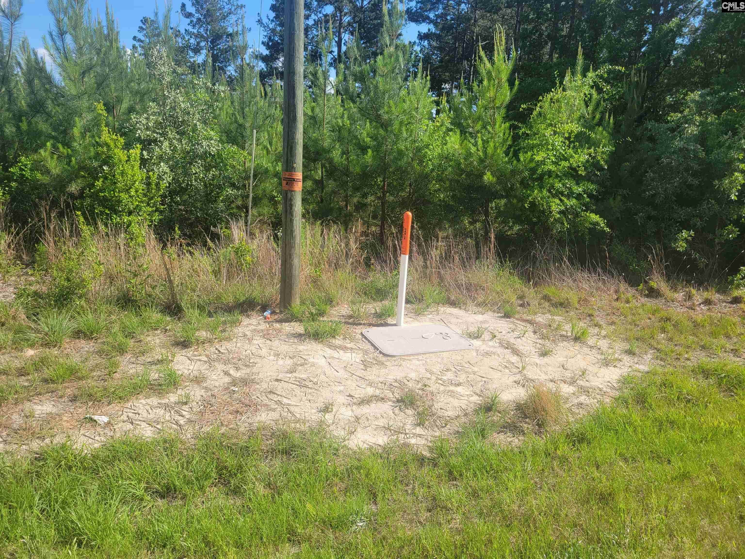 1010 Mt Zion Road #TRACT H-1, Camden, South Carolina image 5