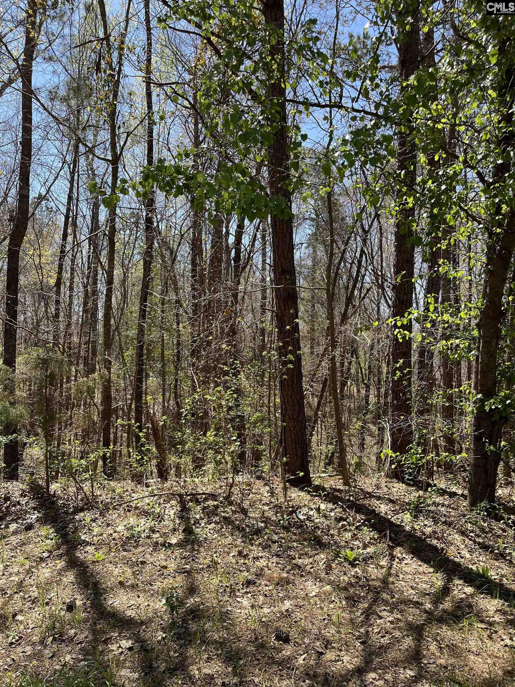 337 Heritage Hills Drive Columbia, SC 29203
