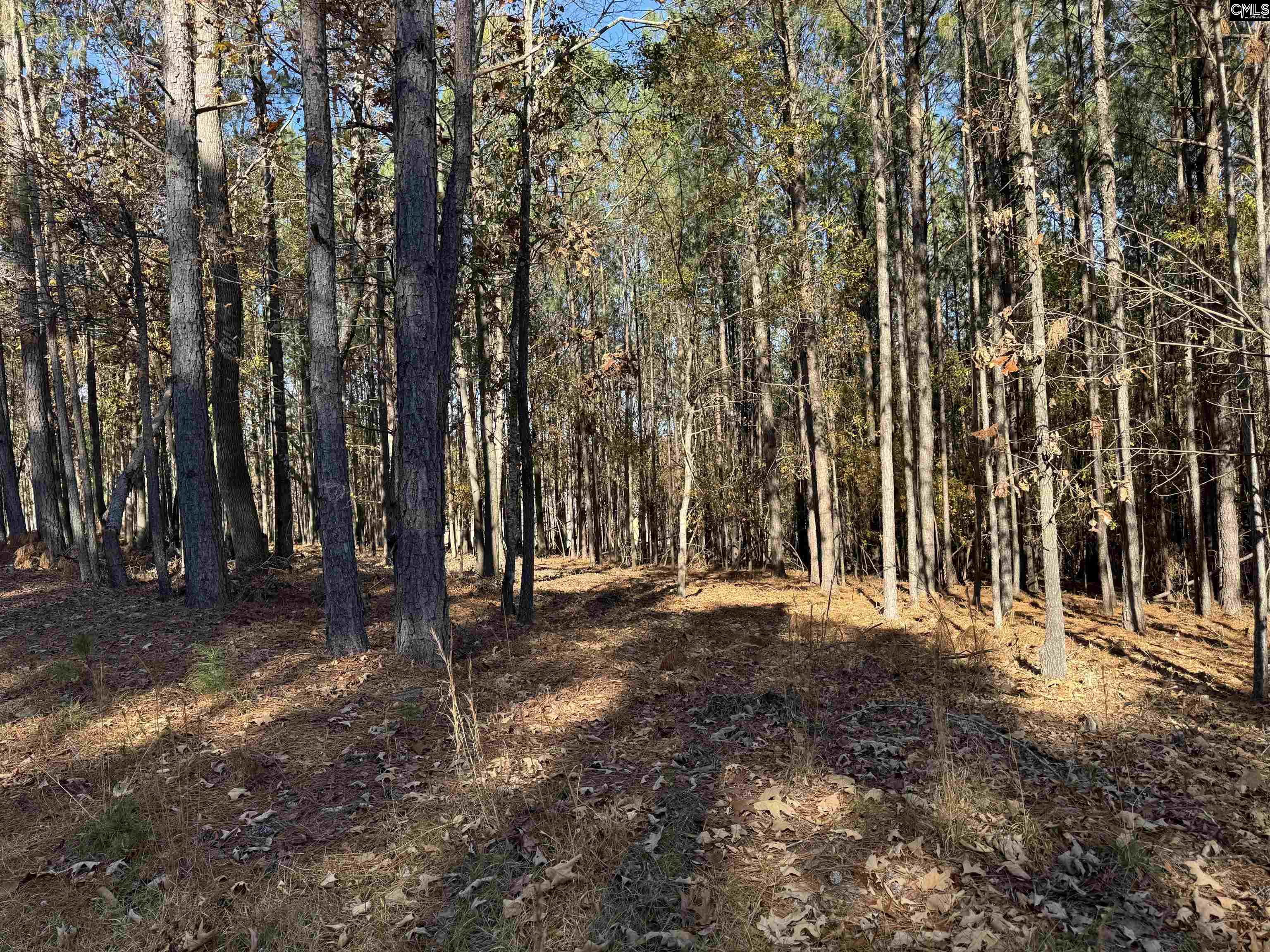 Lot 203 Peninsula Drive UNIT #203 Prosperity, SC 29127