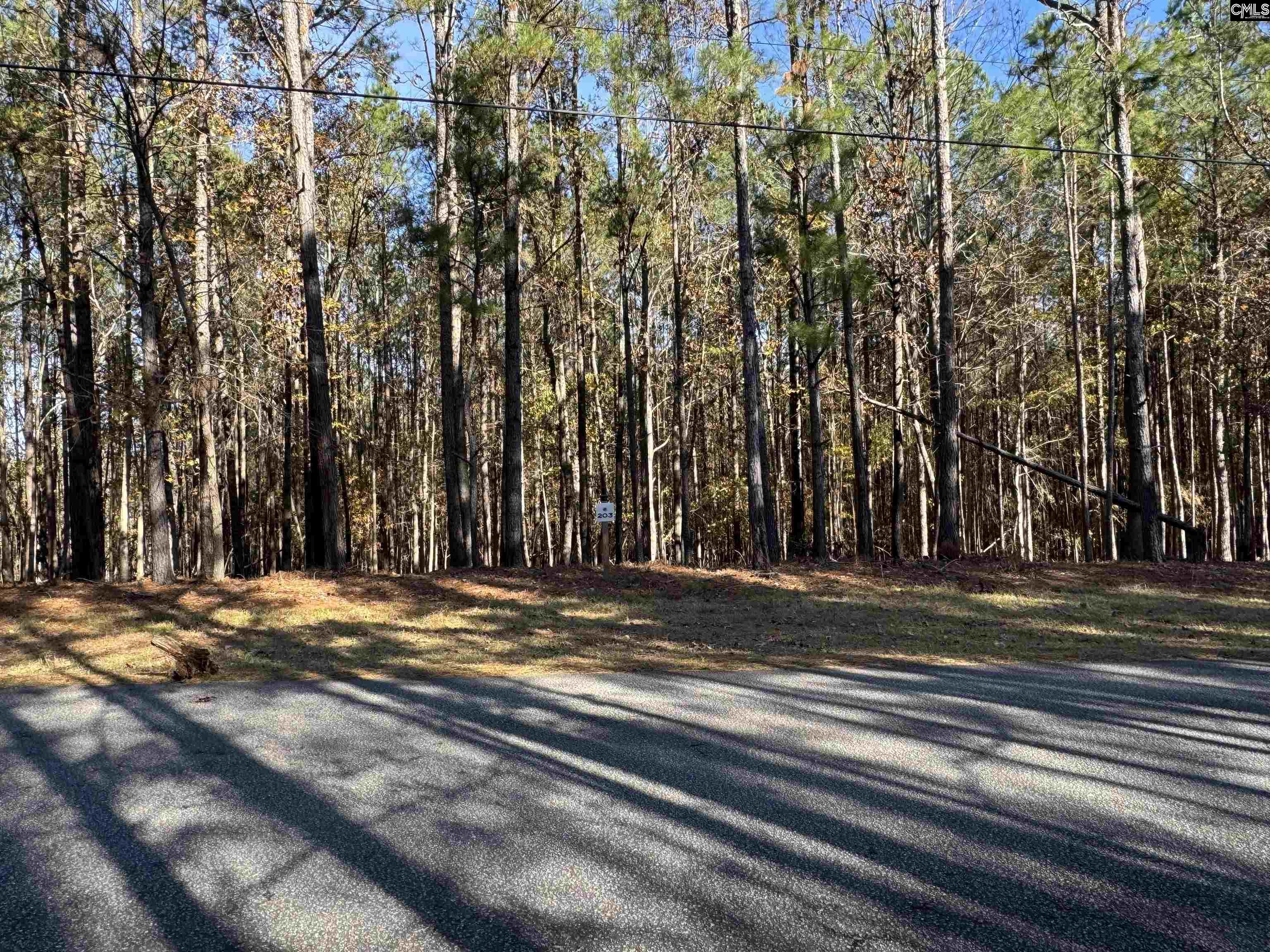 Lot 203 Peninsula Drive UNIT #203 Prosperity, SC 29127