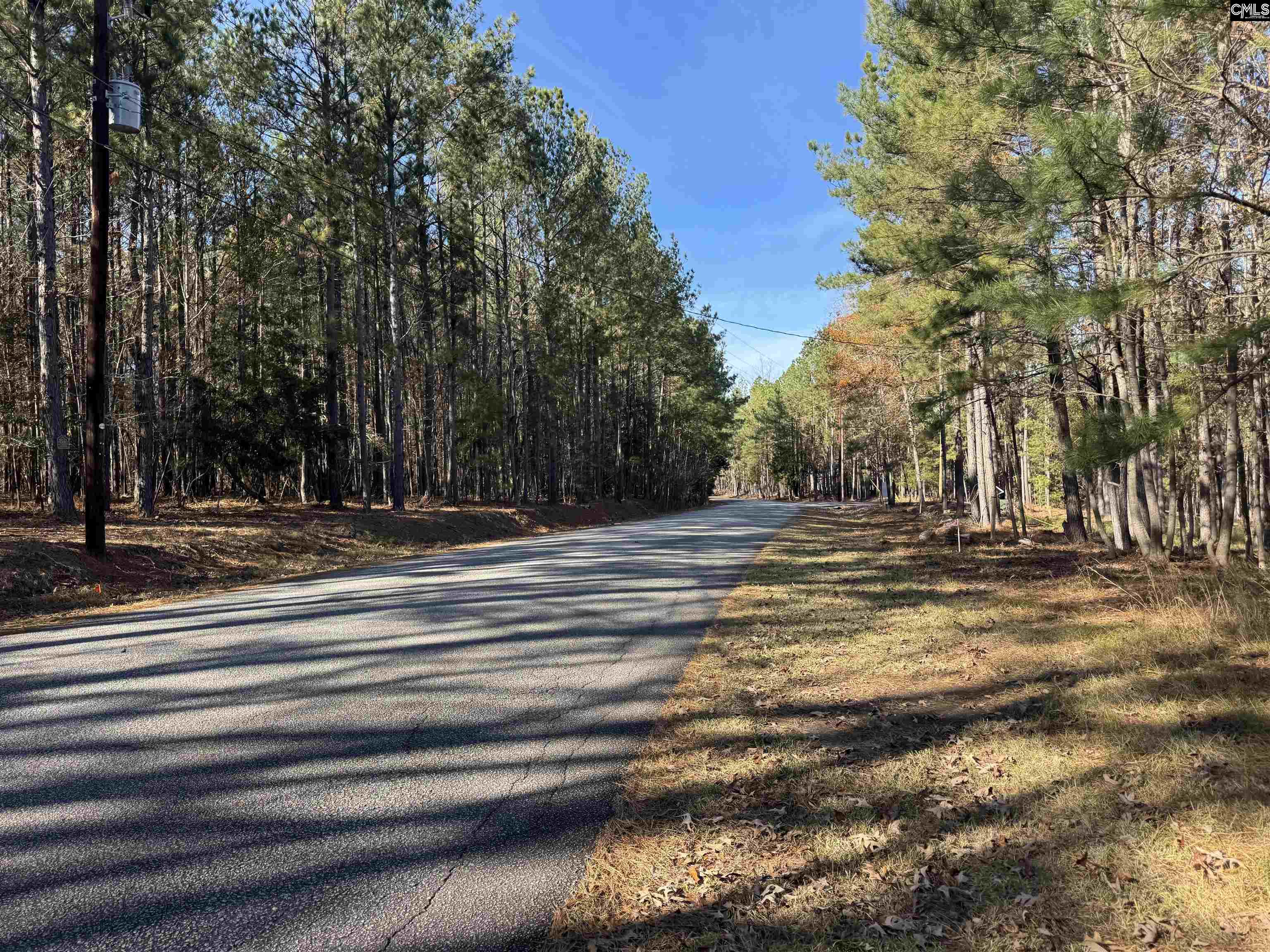 Lot 203 Peninsula Drive UNIT #203 Prosperity, SC 29127