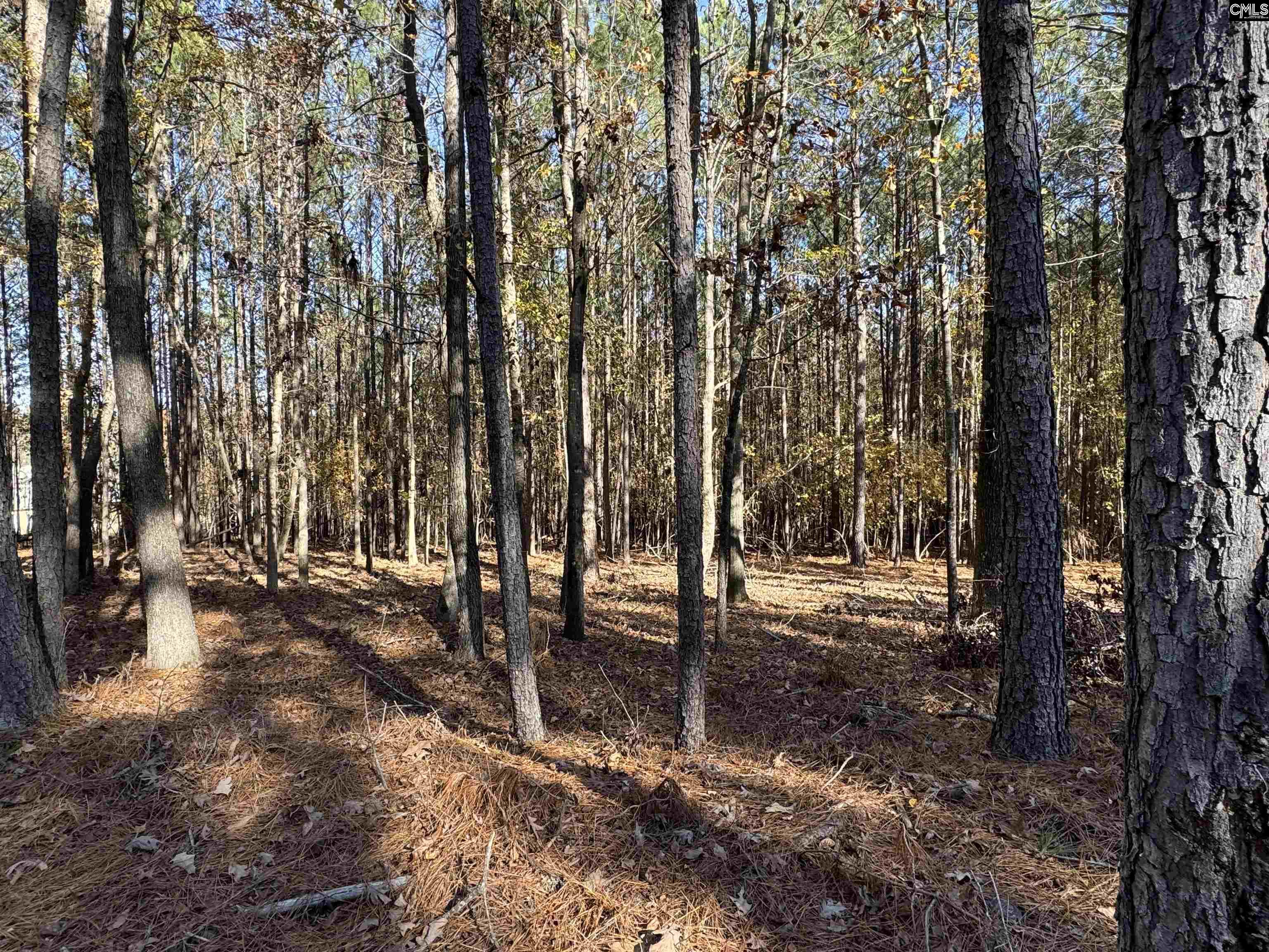 Lot 203 Peninsula Drive UNIT #203 Prosperity, SC 29127