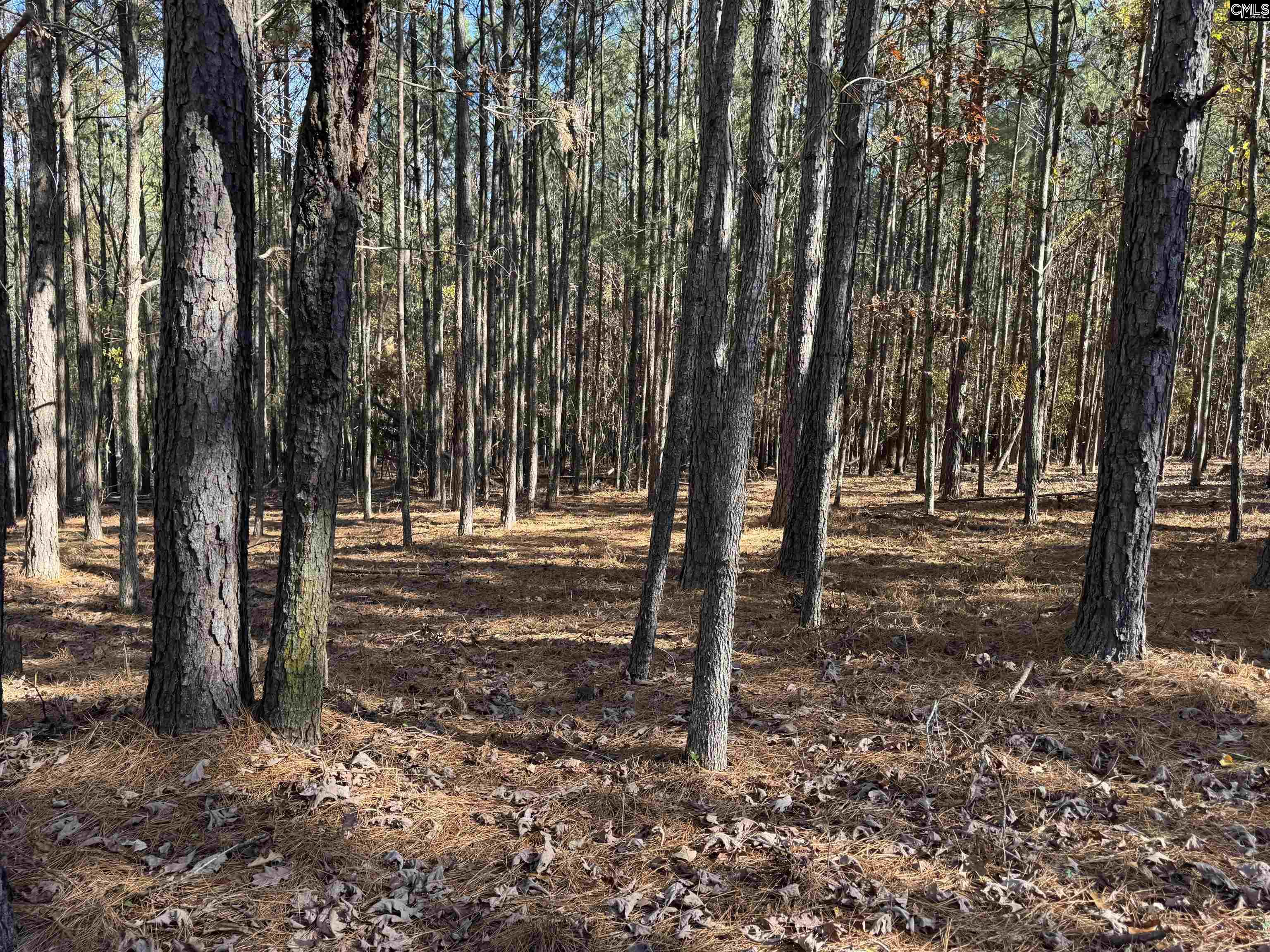 Lot 203 Peninsula Drive UNIT #203 Prosperity, SC 29127