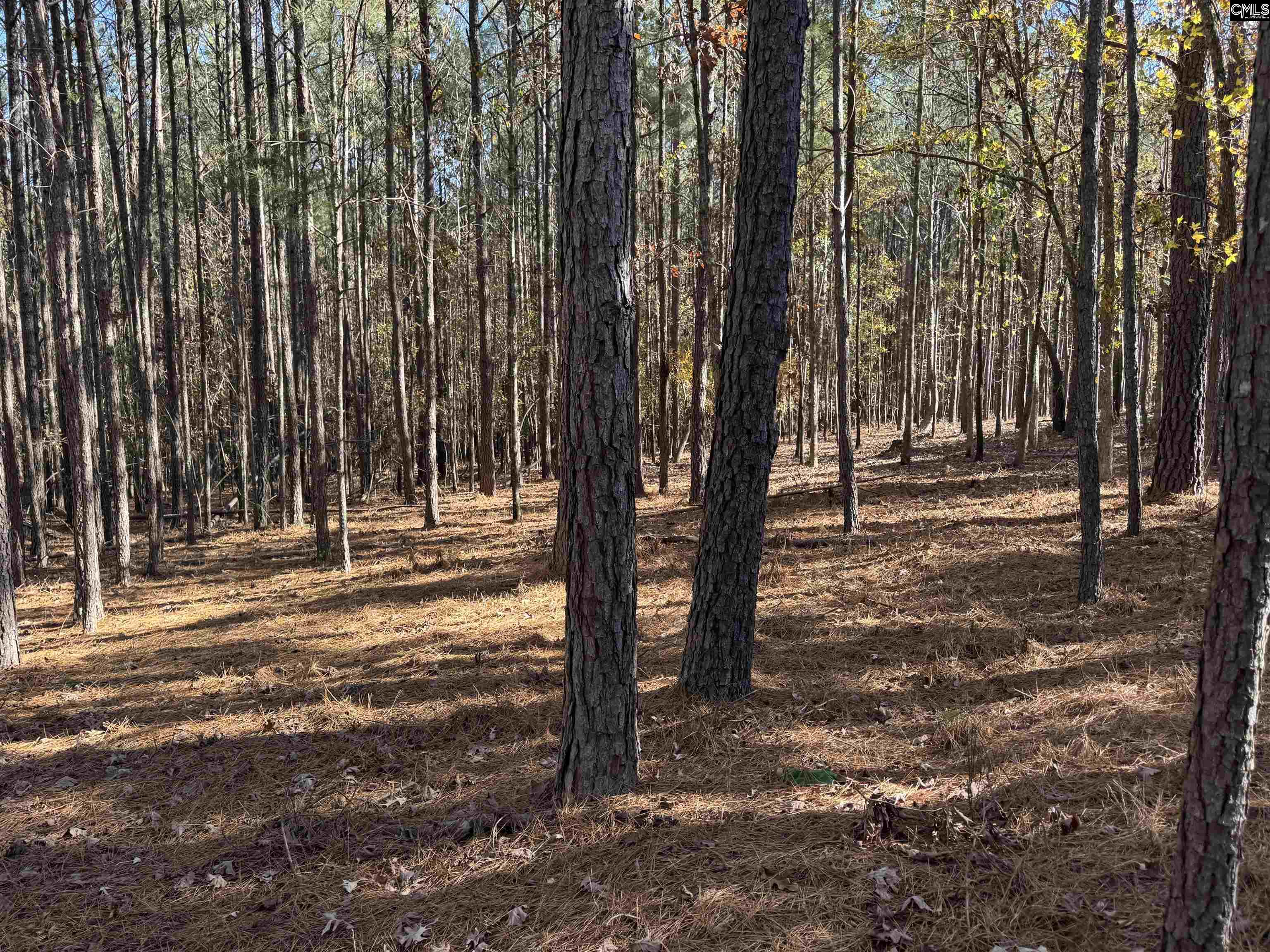 Lot 203 Peninsula Drive UNIT #203 Prosperity, SC 29127