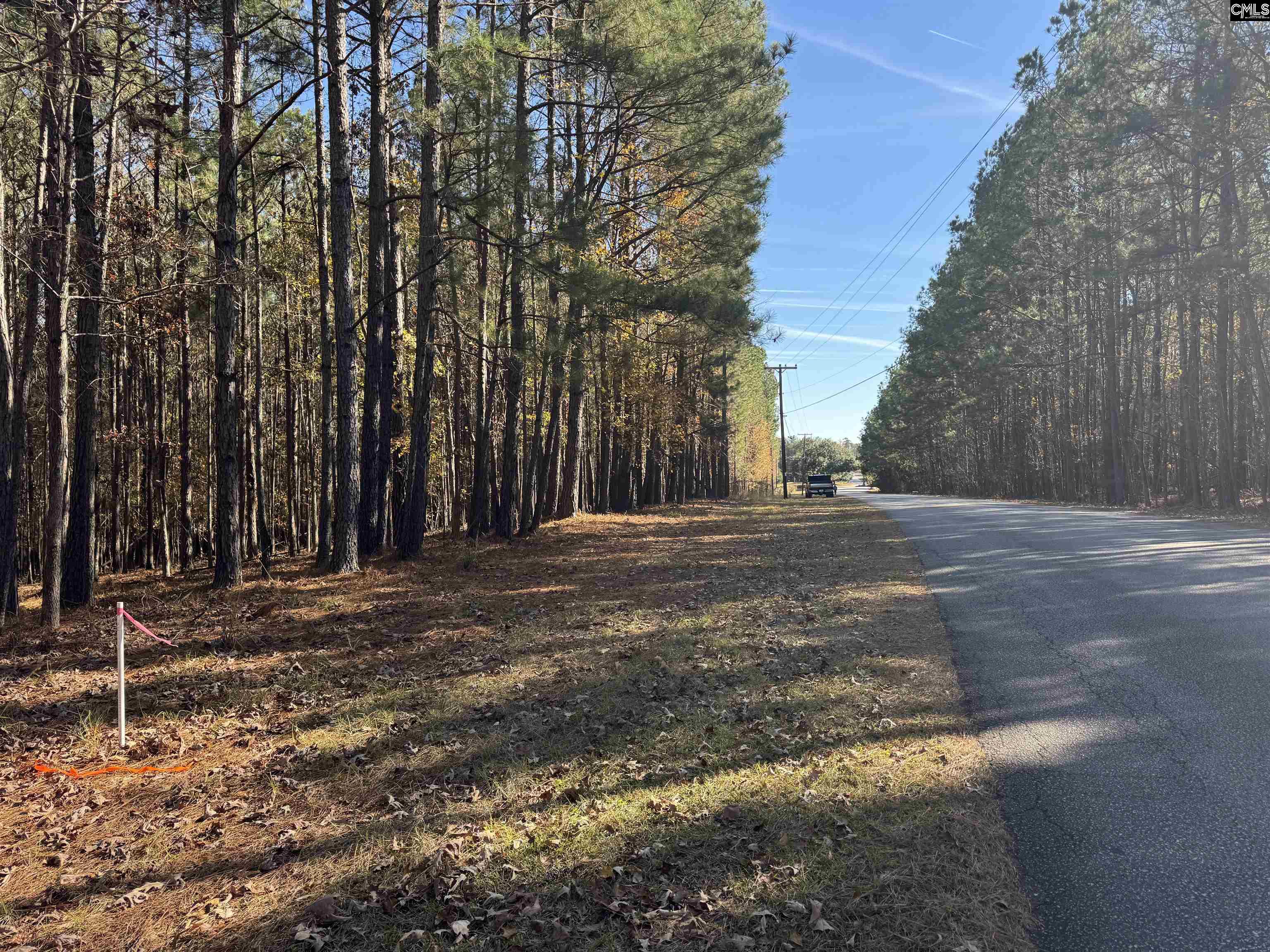 Lot 203 Peninsula Drive UNIT #203 Prosperity, SC 29127