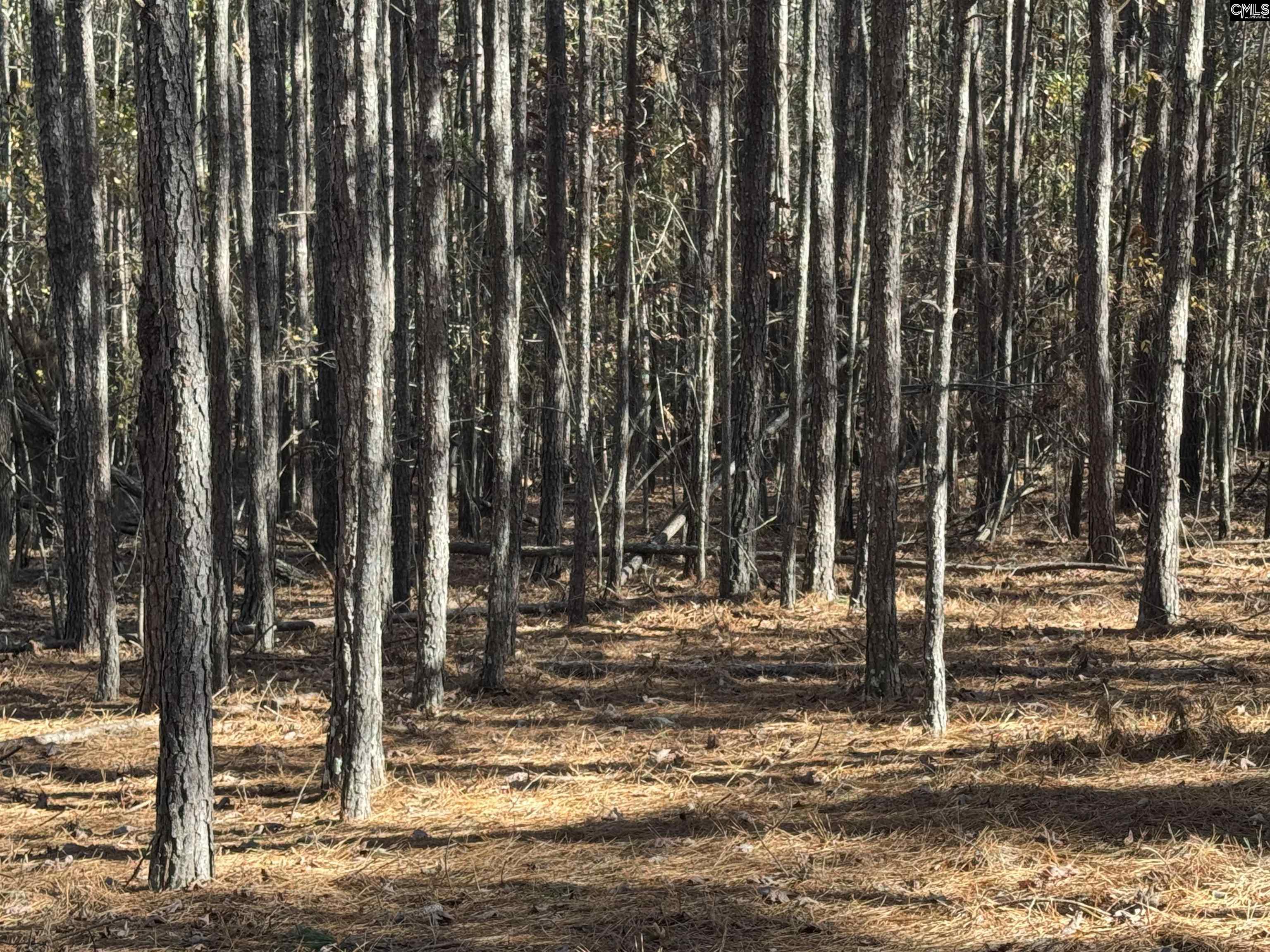 Lot 203 Peninsula Drive UNIT #203 Prosperity, SC 29127
