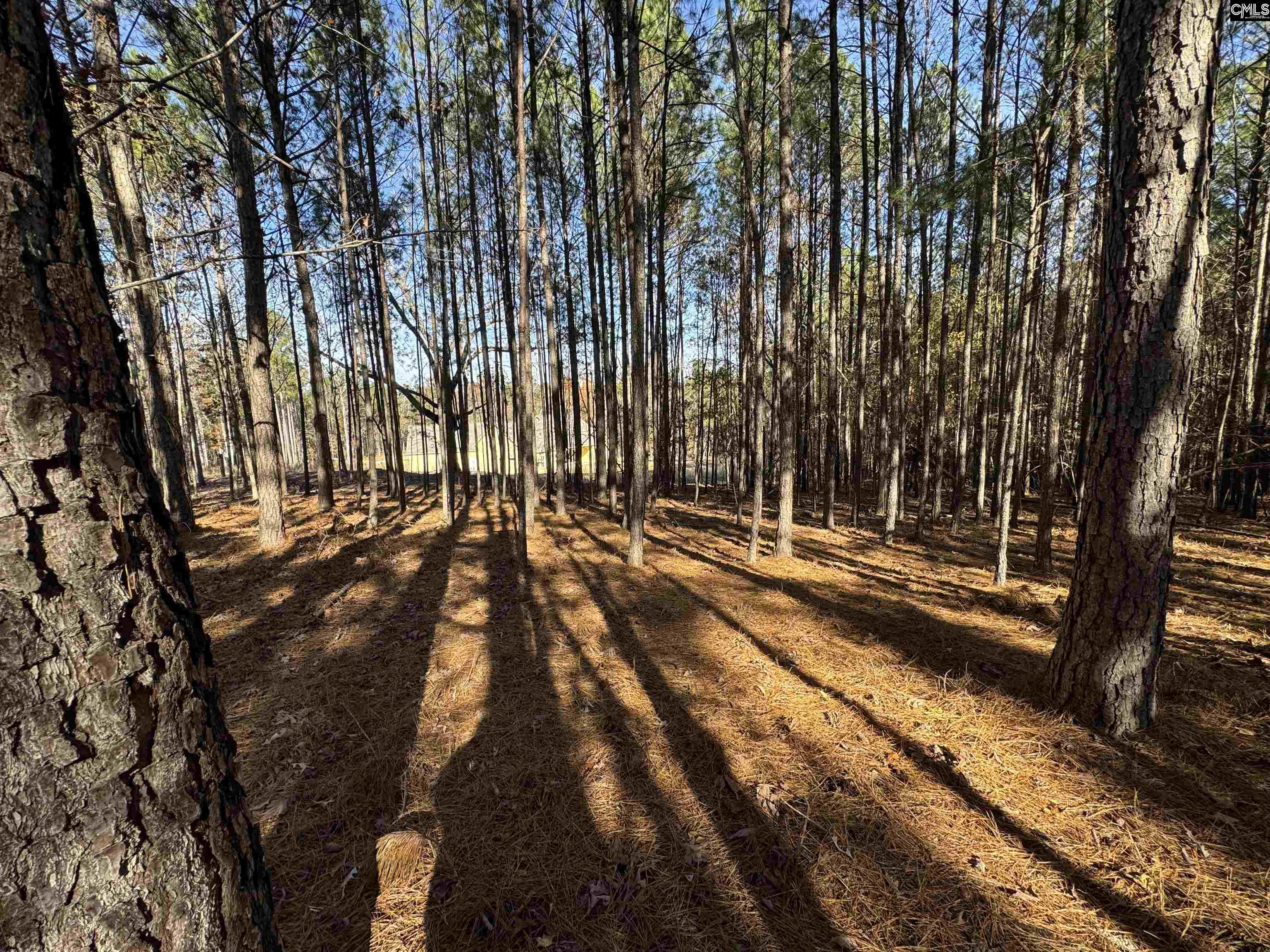 Lot 203 Peninsula Drive UNIT #203 Prosperity, SC 29127
