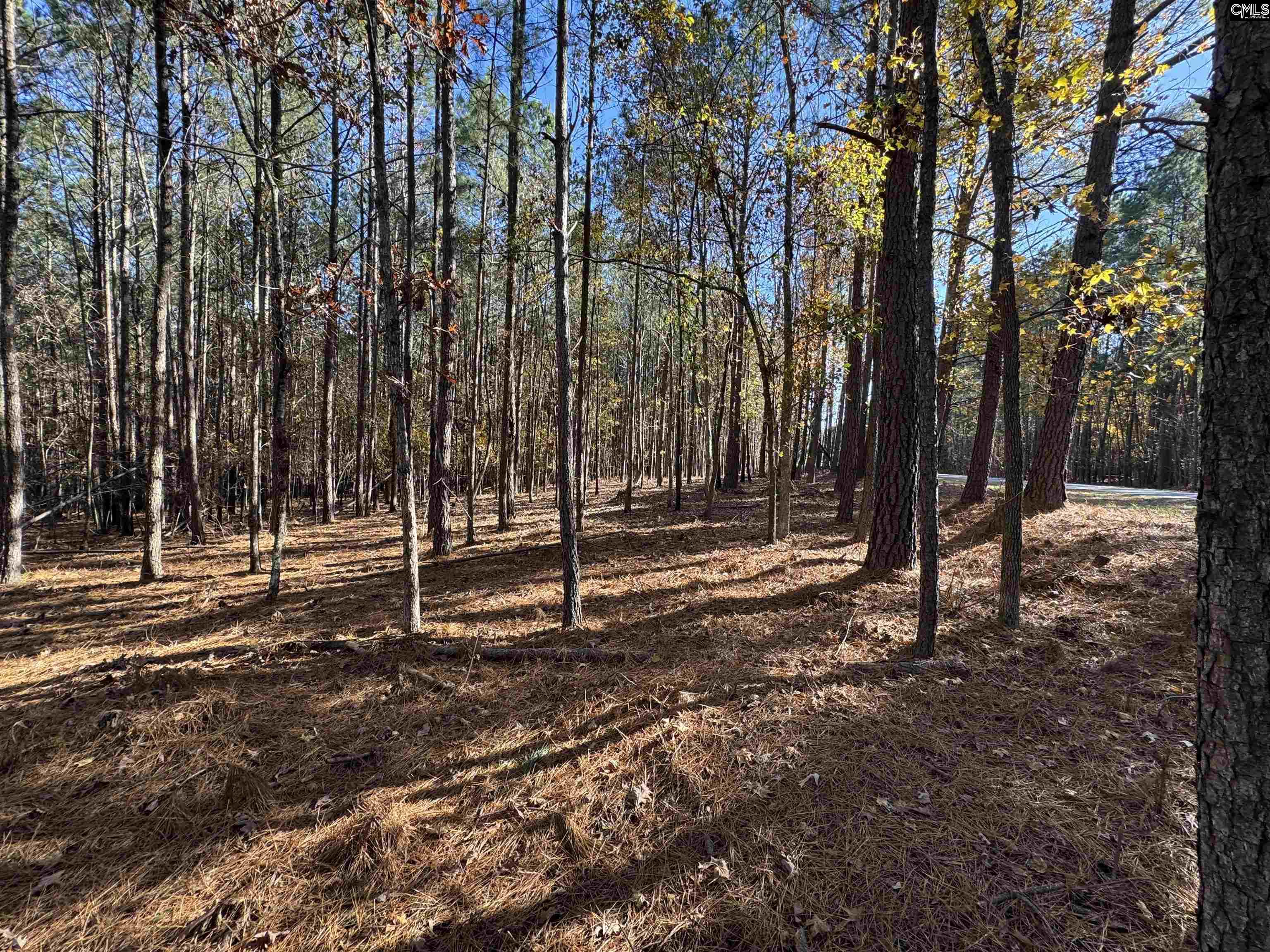 Lot 203 Peninsula Drive UNIT #203 Prosperity, SC 29127