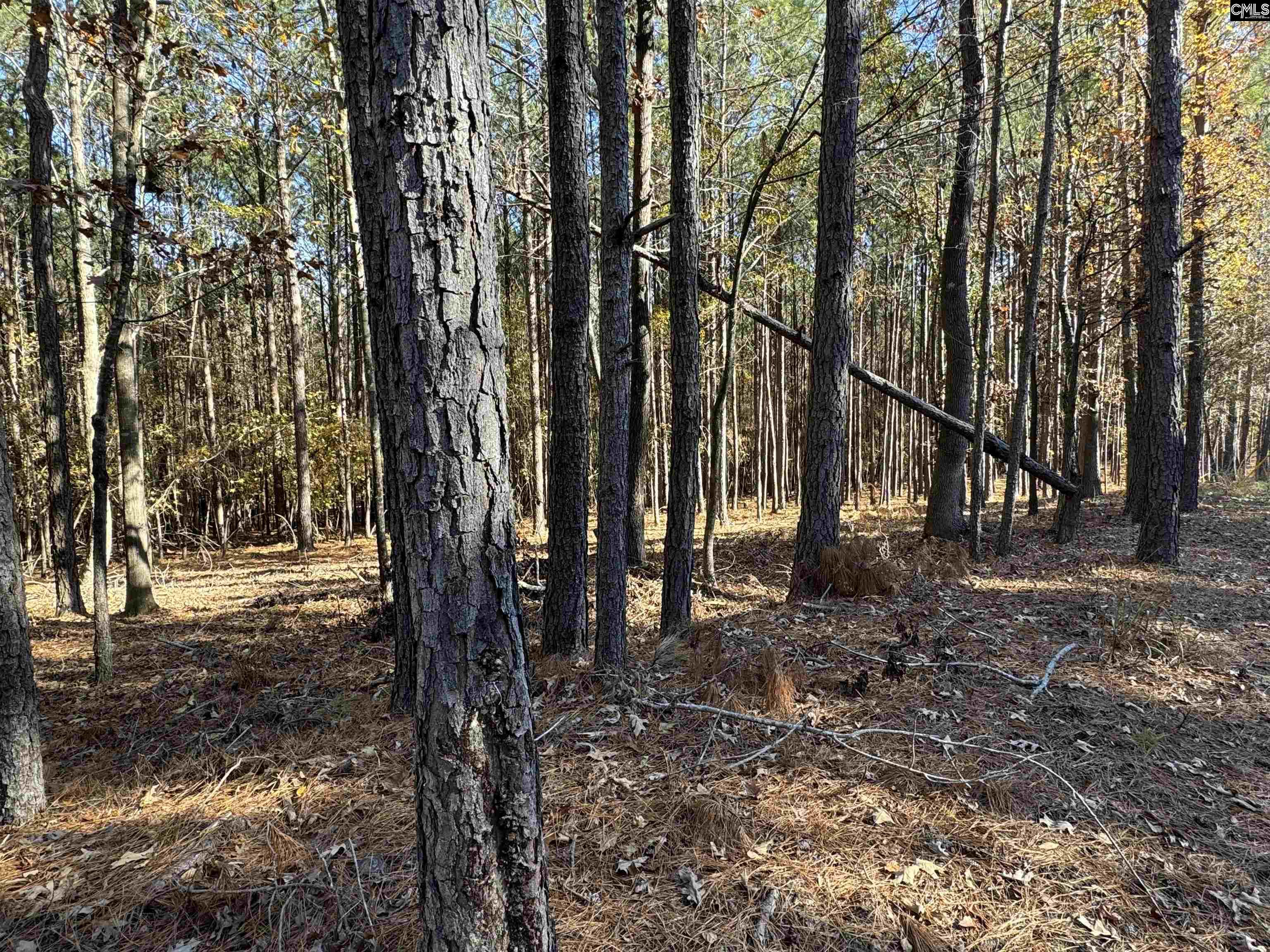 Lot 203 Peninsula Drive UNIT #203 Prosperity, SC 29127