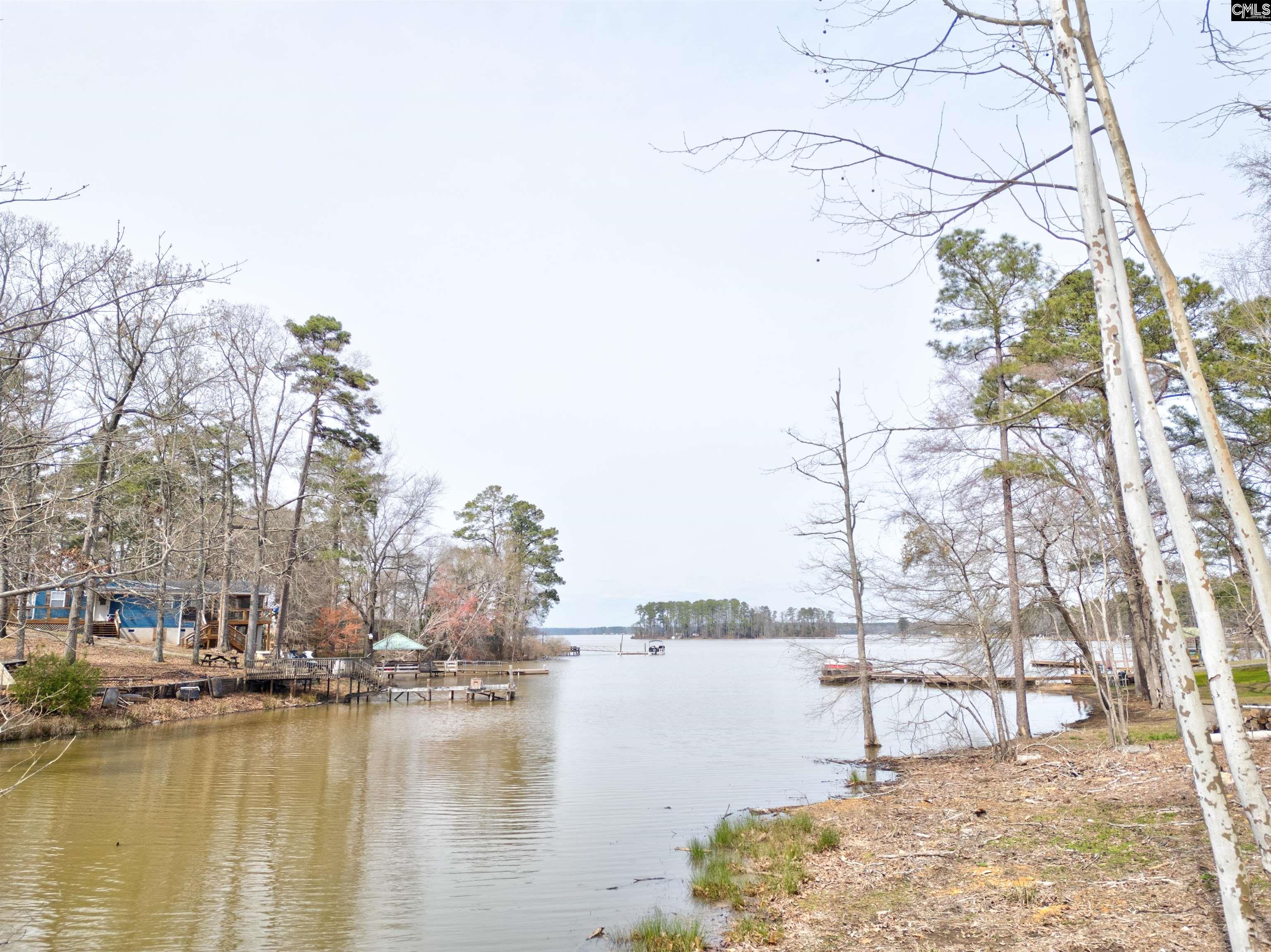 1660 Wildwood Cove Road, Leesville, South Carolina image 14