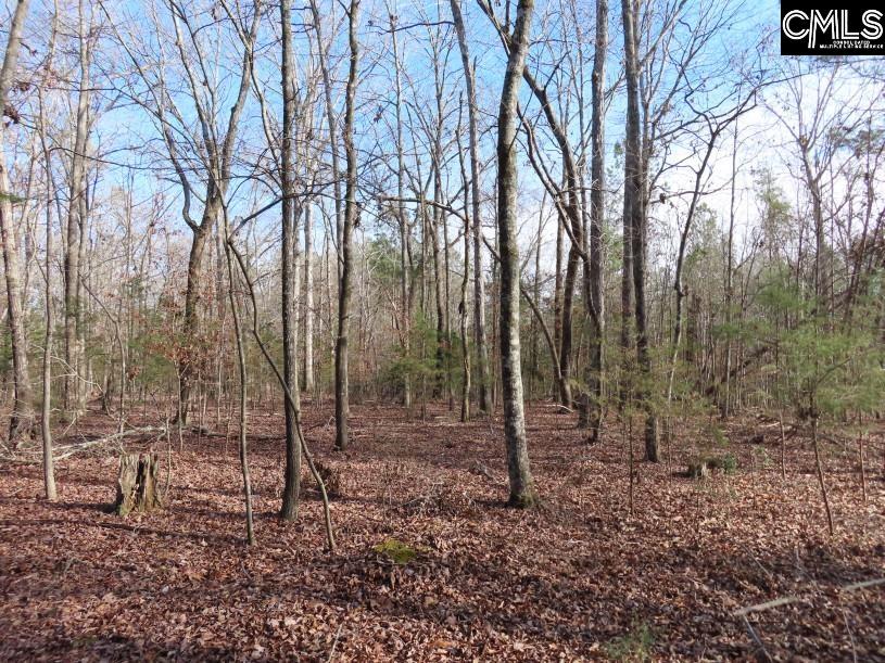 Rhinehart Road, Batesburg, South Carolina image 2