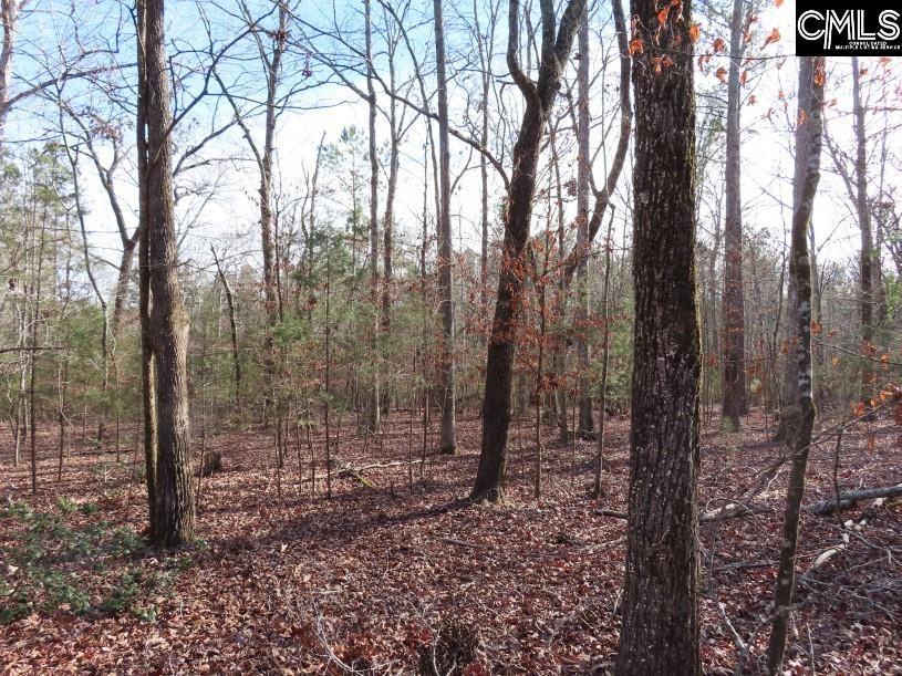 Rhinehart Road, Batesburg, South Carolina image 18