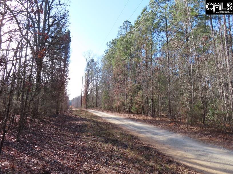Rhinehart Road, Batesburg, South Carolina image 19