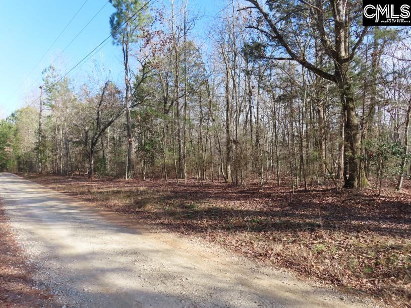 Rhinehart Road, Batesburg, South Carolina image 3