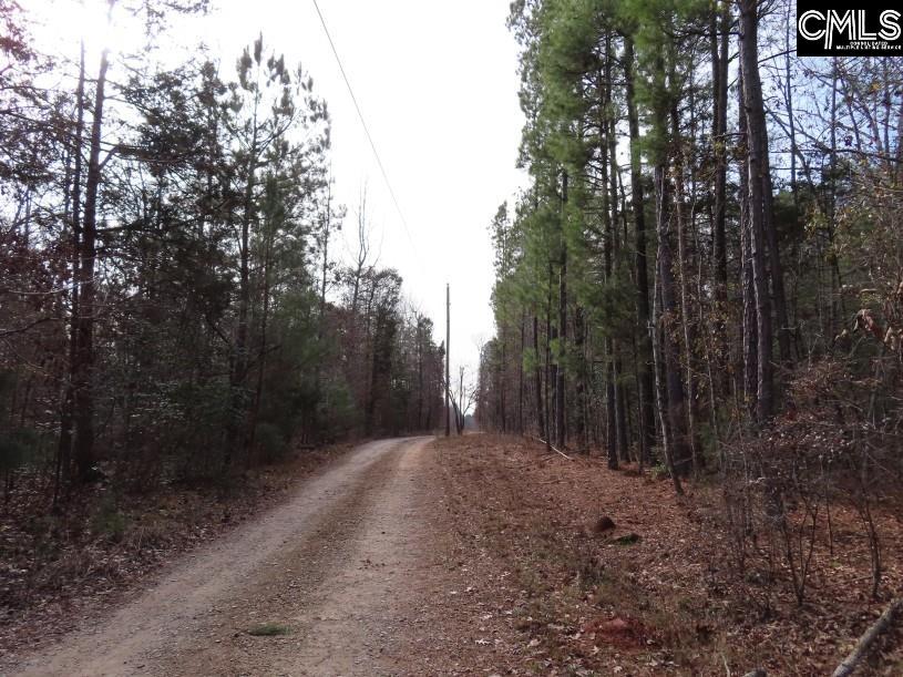 Rhinehart Road, Batesburg, South Carolina image 22