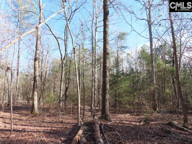 Rhinehart Road, Batesburg, South Carolina image 30