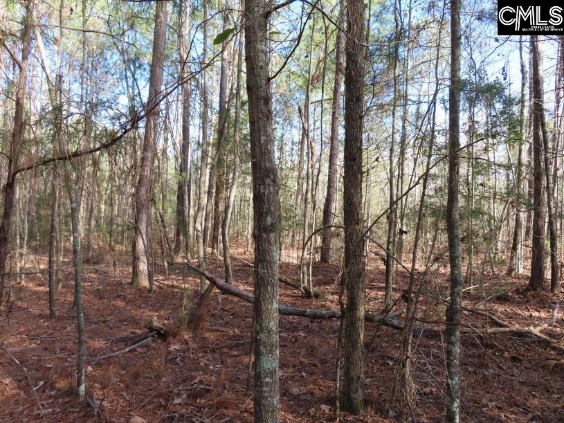 Rhinehart Road, Batesburg, South Carolina image 39